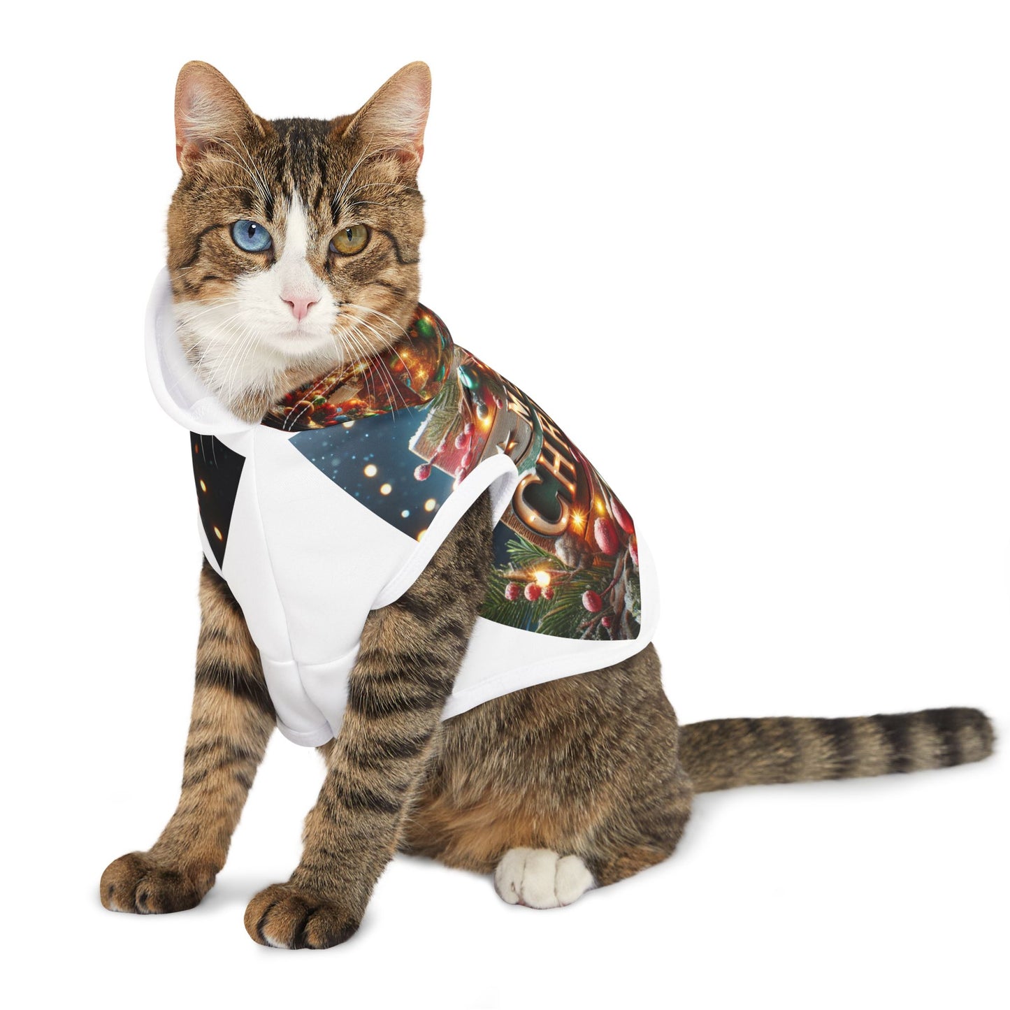Pet Hoodie