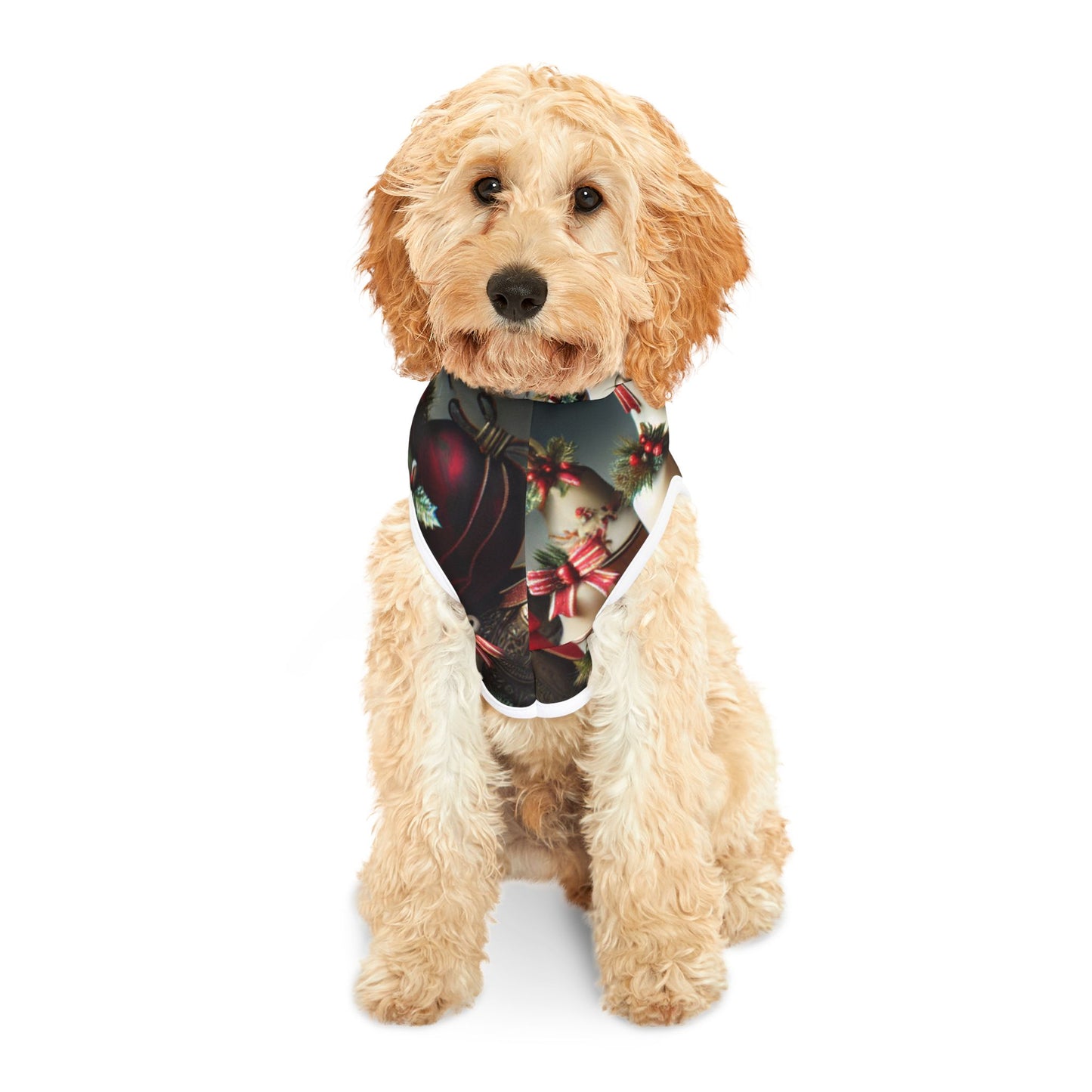 Pet Hoodie
