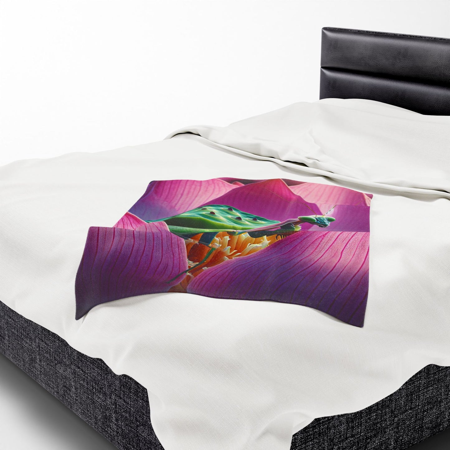 Velveteen Plush Blanket