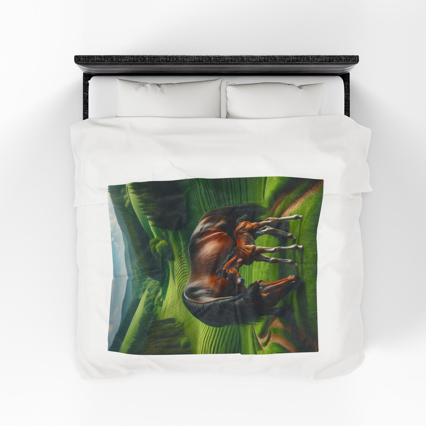 Velveteen Plush Blanket