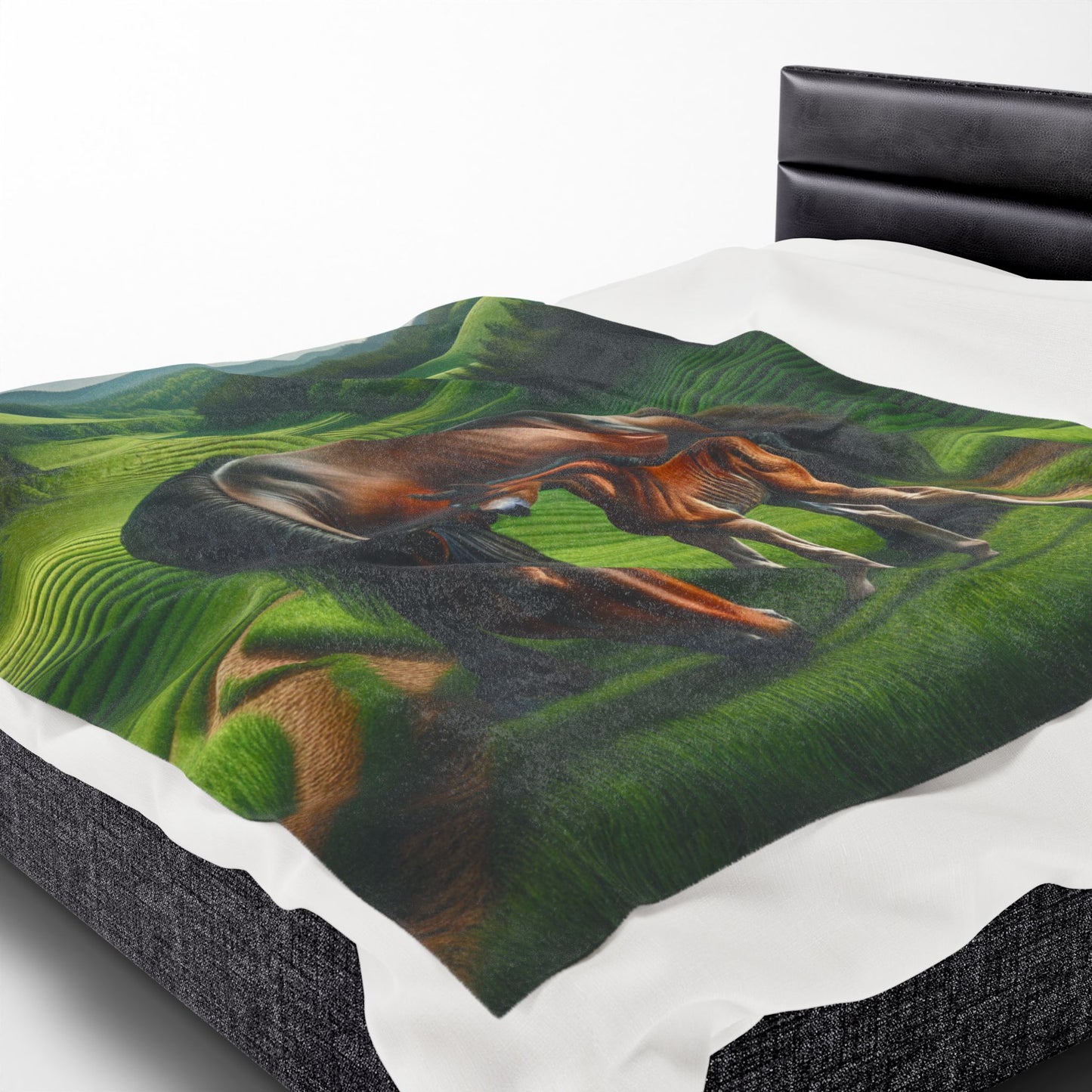 Velveteen Plush Blanket