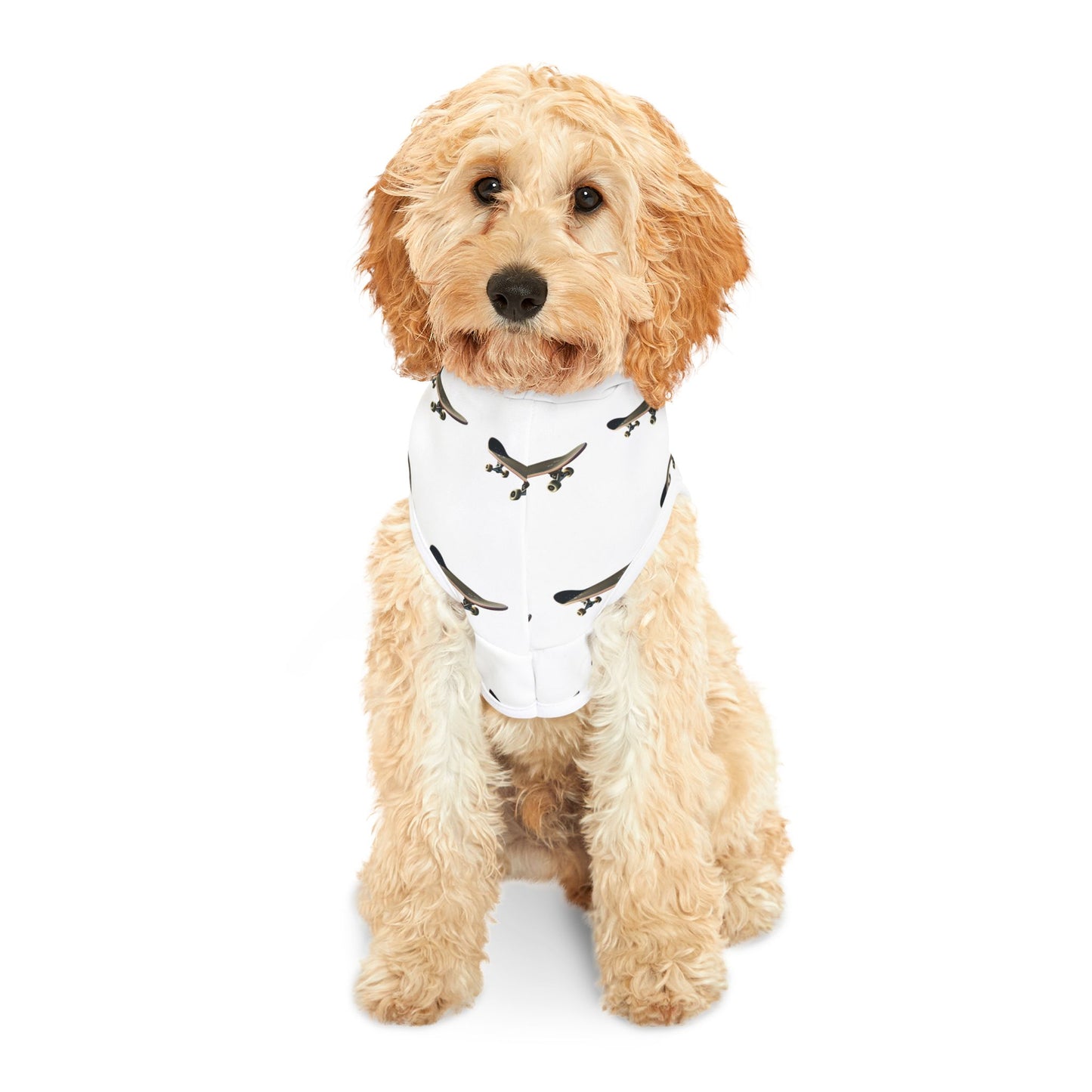 skateboard Pet Hoodie