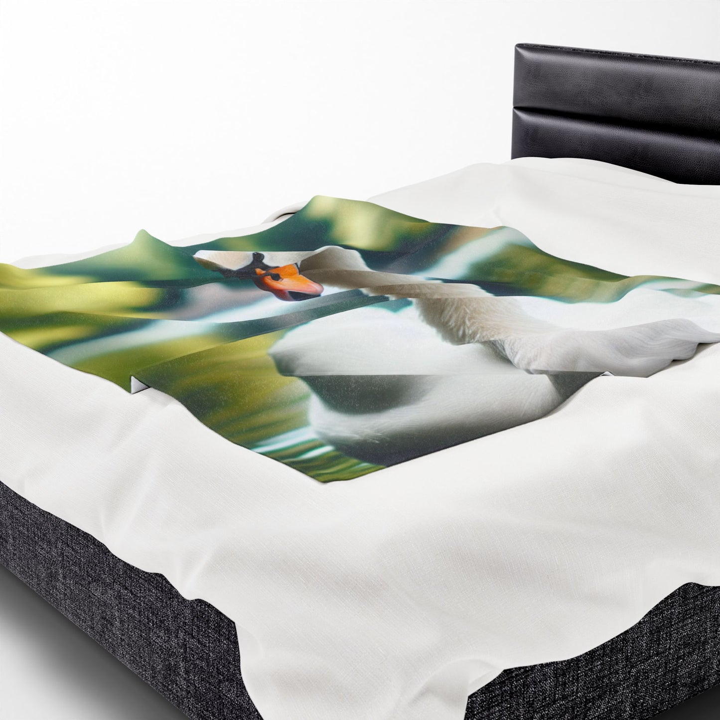 Velveteen Plush Blanket