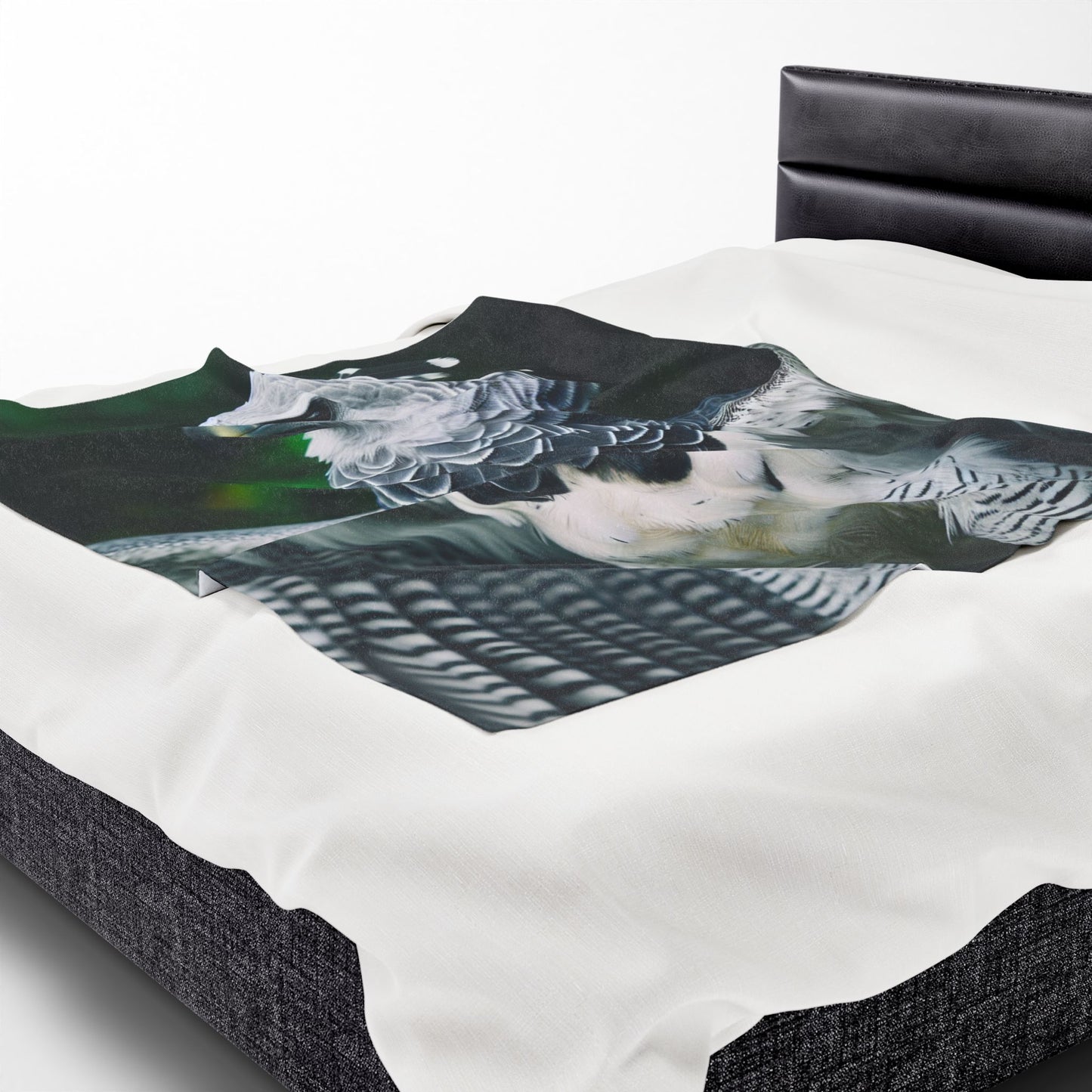 Velveteen Plush Blanket