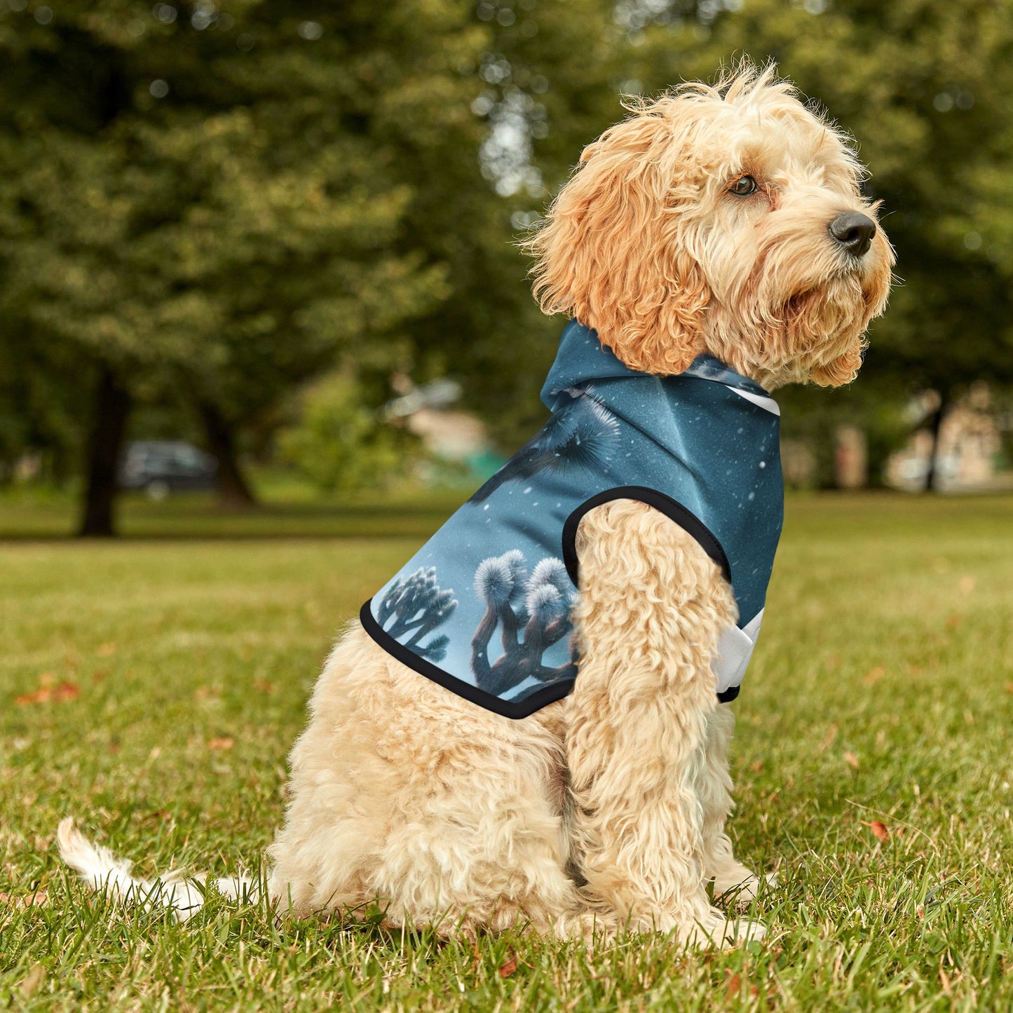 Pet Hoodie
