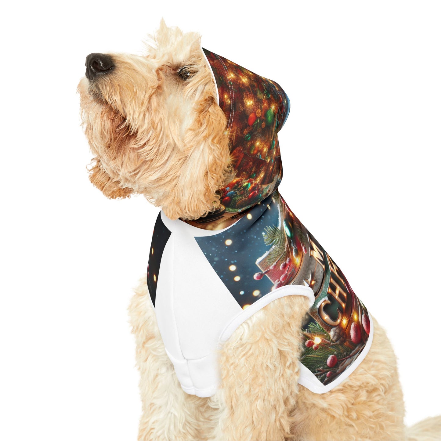 Pet Hoodie