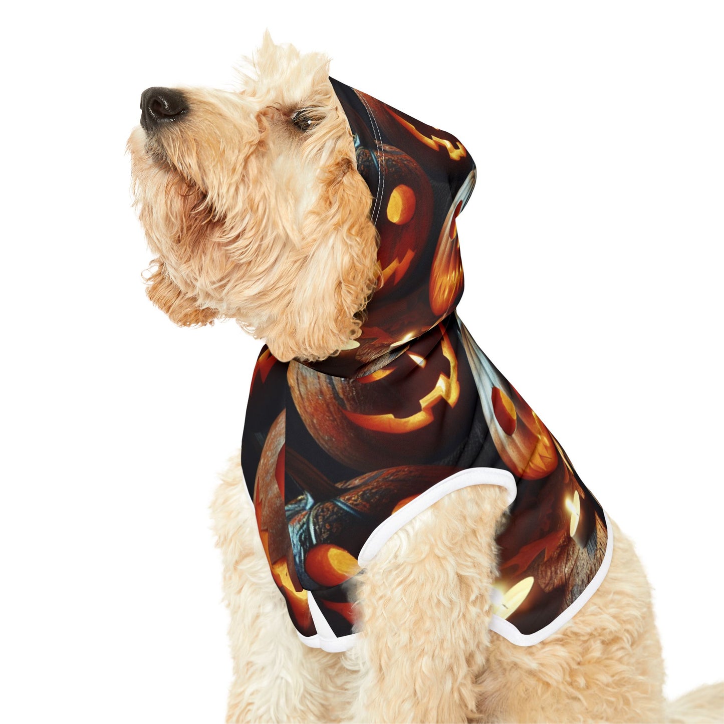 Pet Hoodie