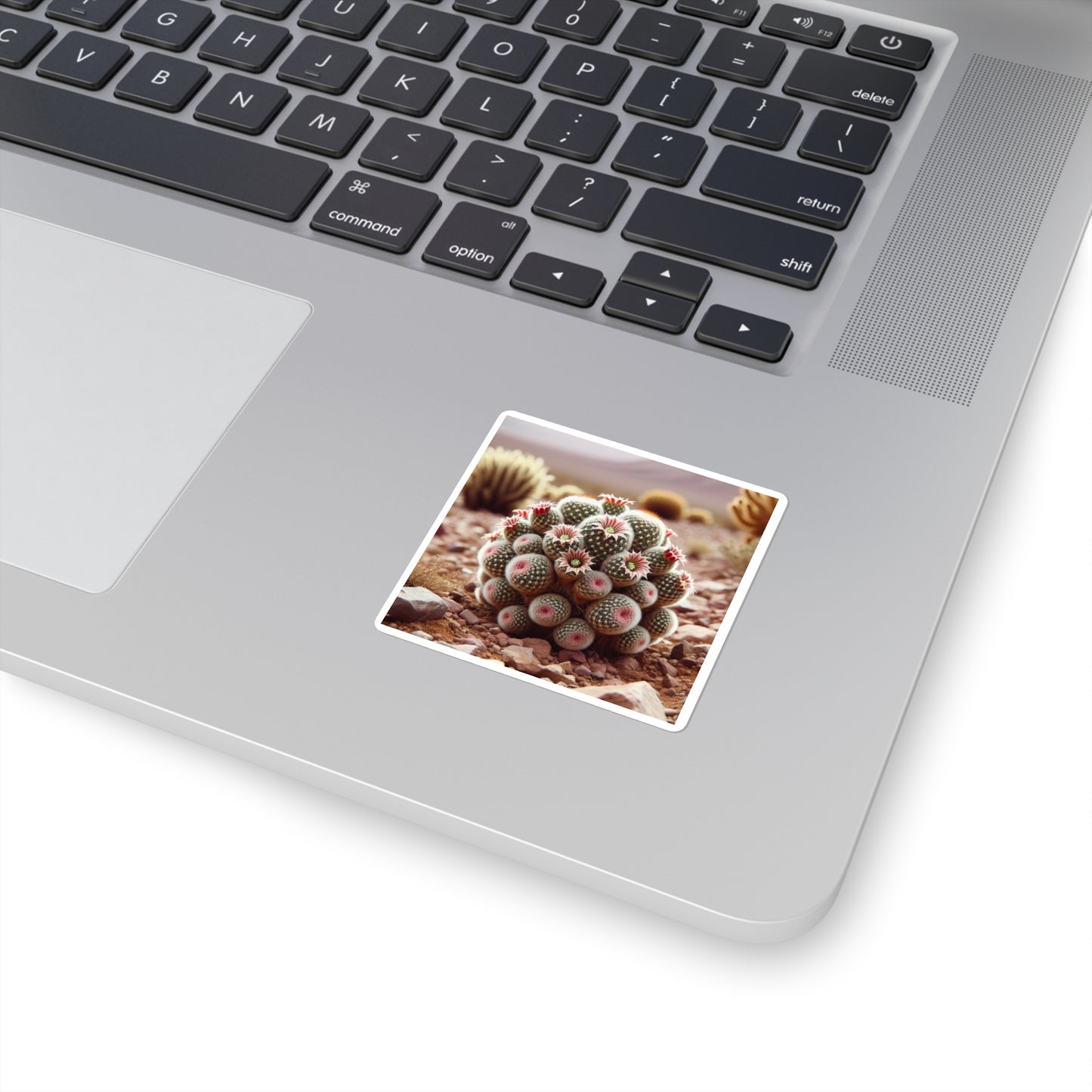 Square Stickers