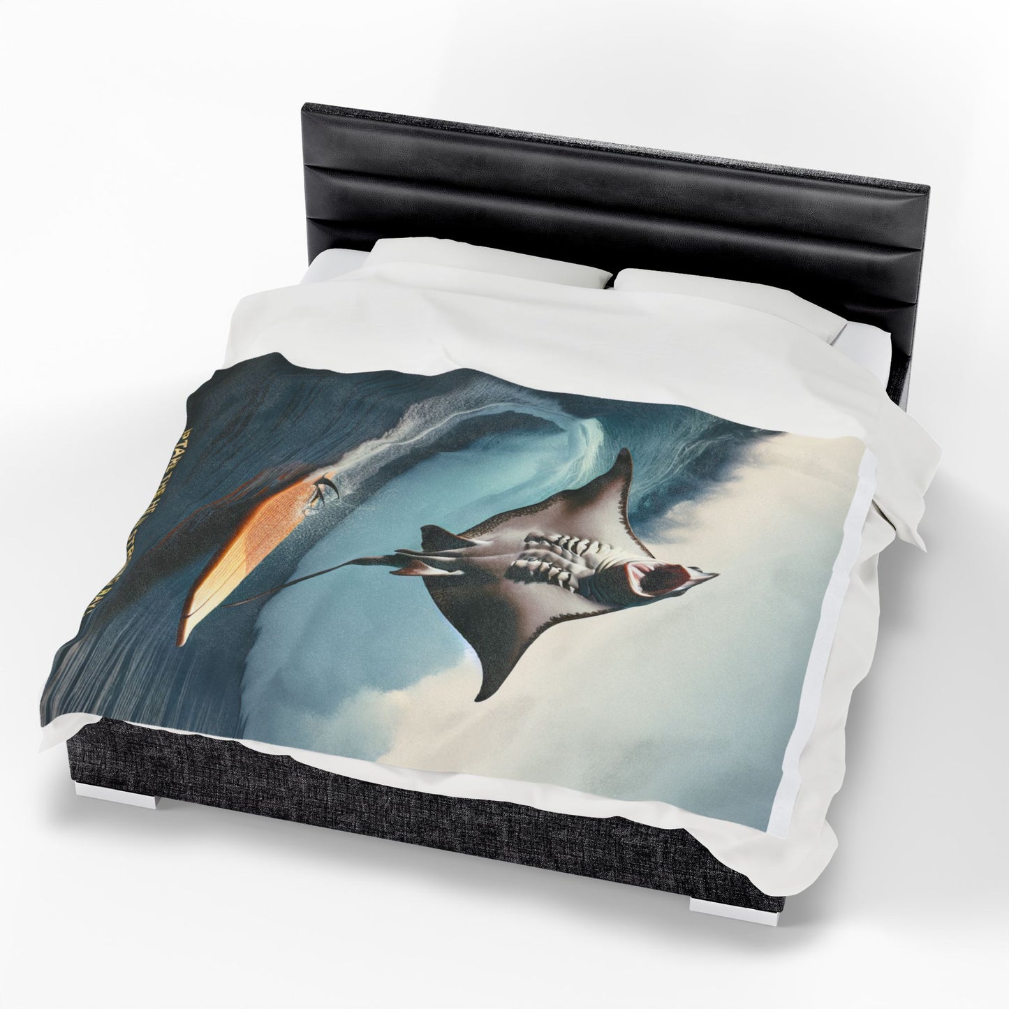 Velveteen Plush Blanket