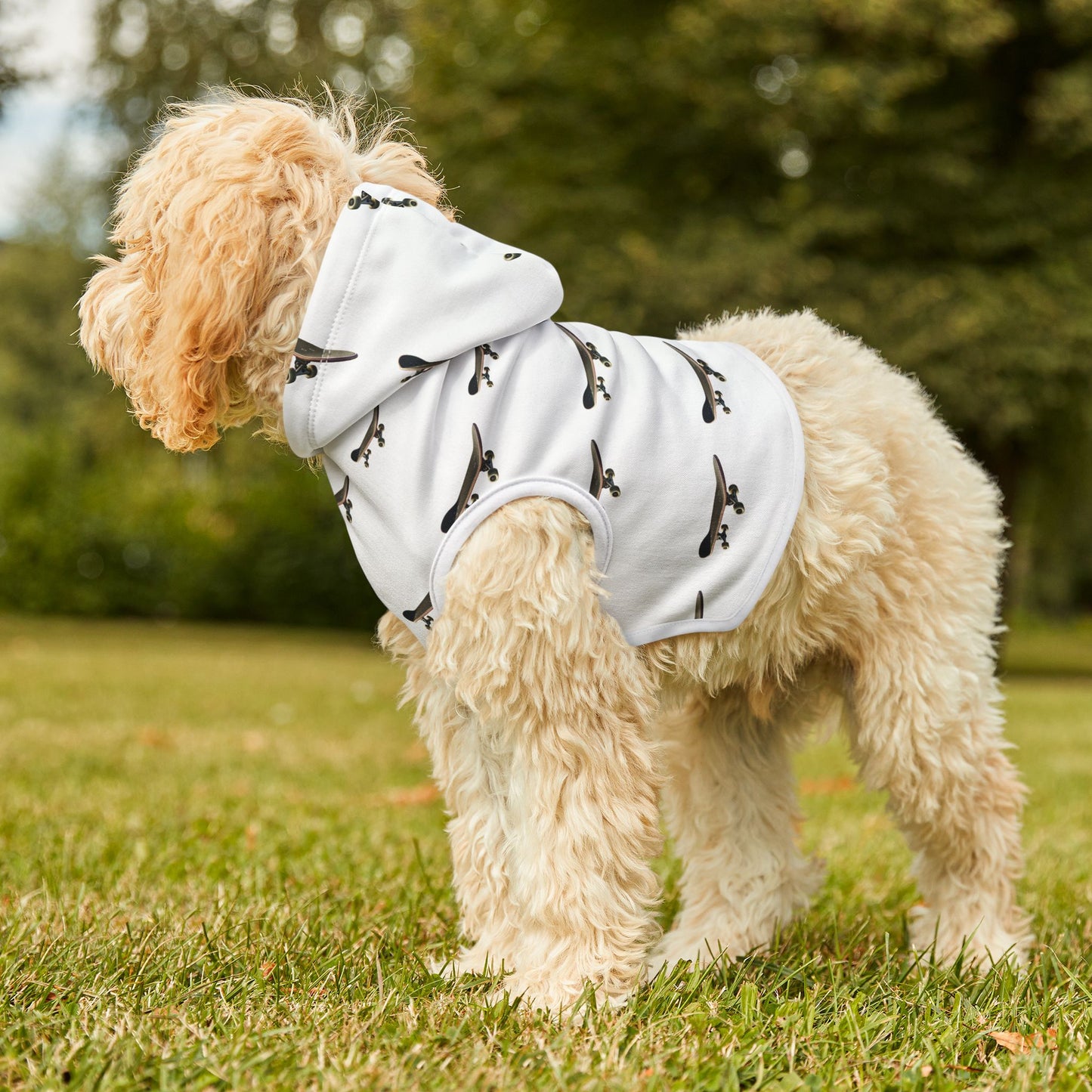 skateboard Pet Hoodie