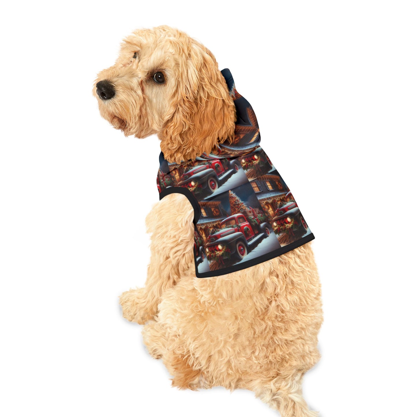 Pet Hoodie