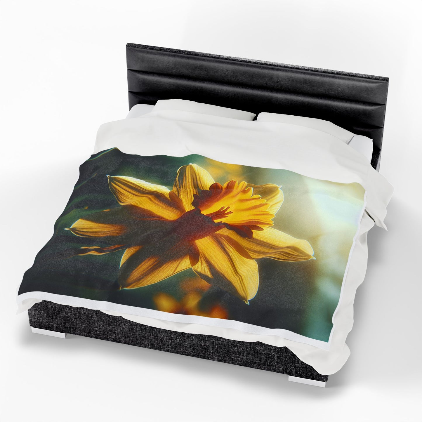 Velveteen Plush Blanket