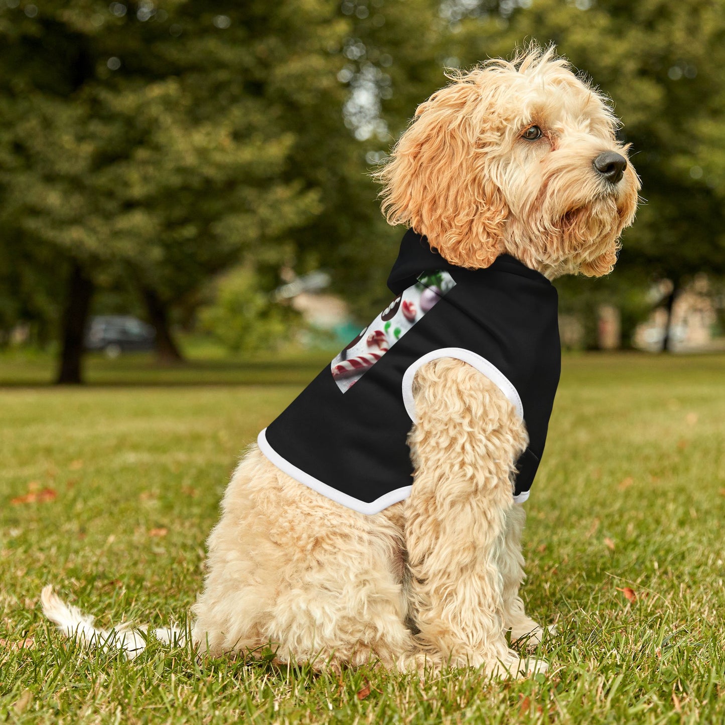 Pet Hoodie