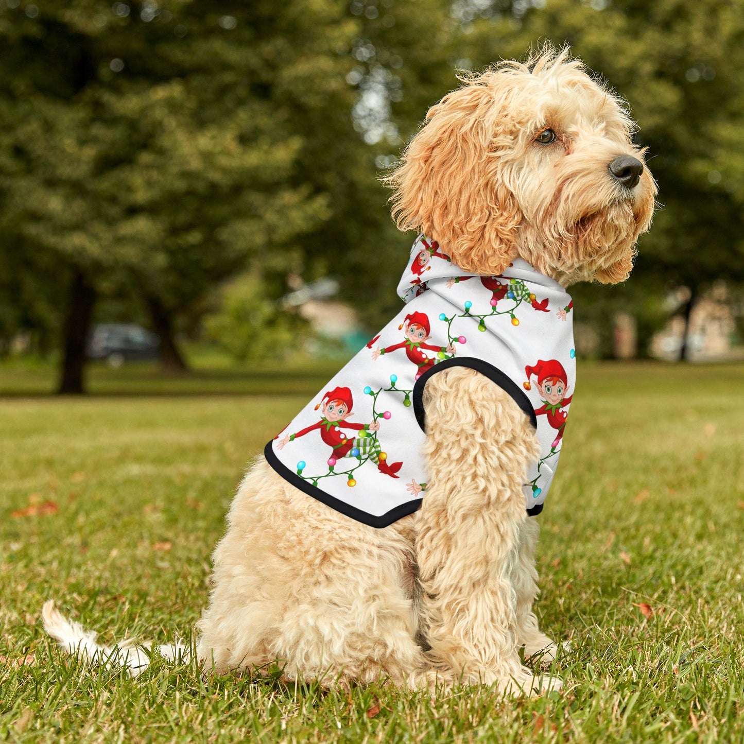Pet Hoodie
