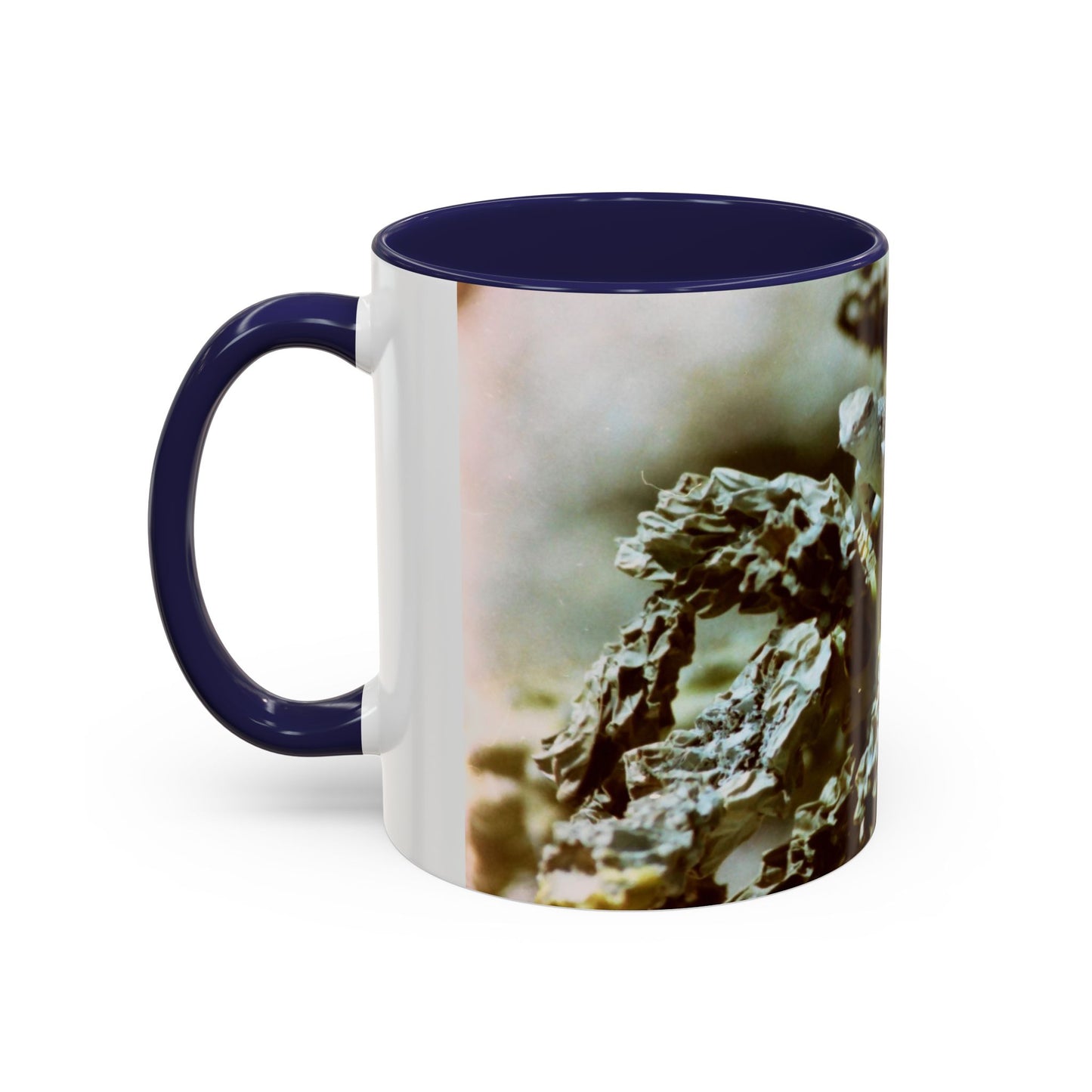 Accent Coffee Mug, 11oz