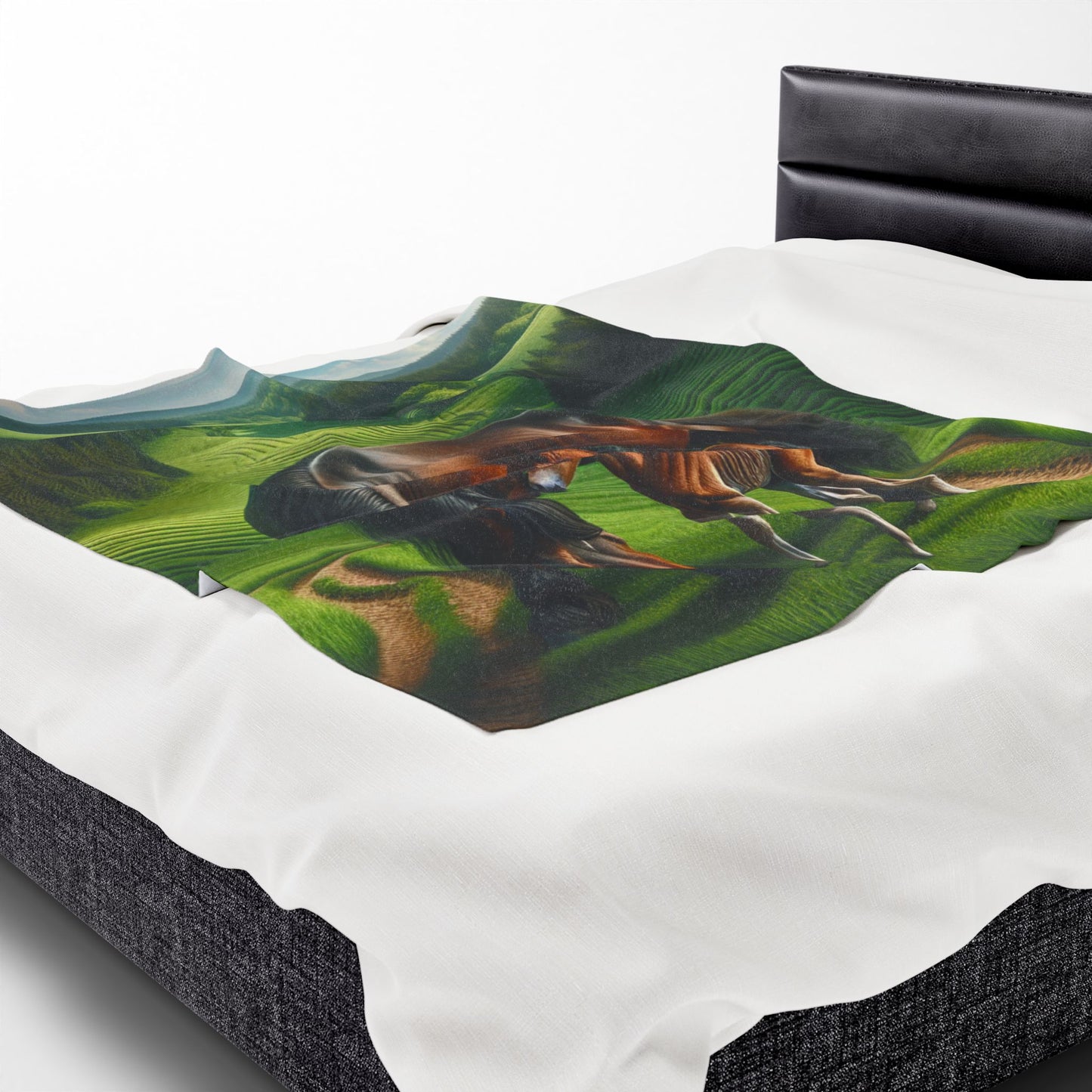 Velveteen Plush Blanket