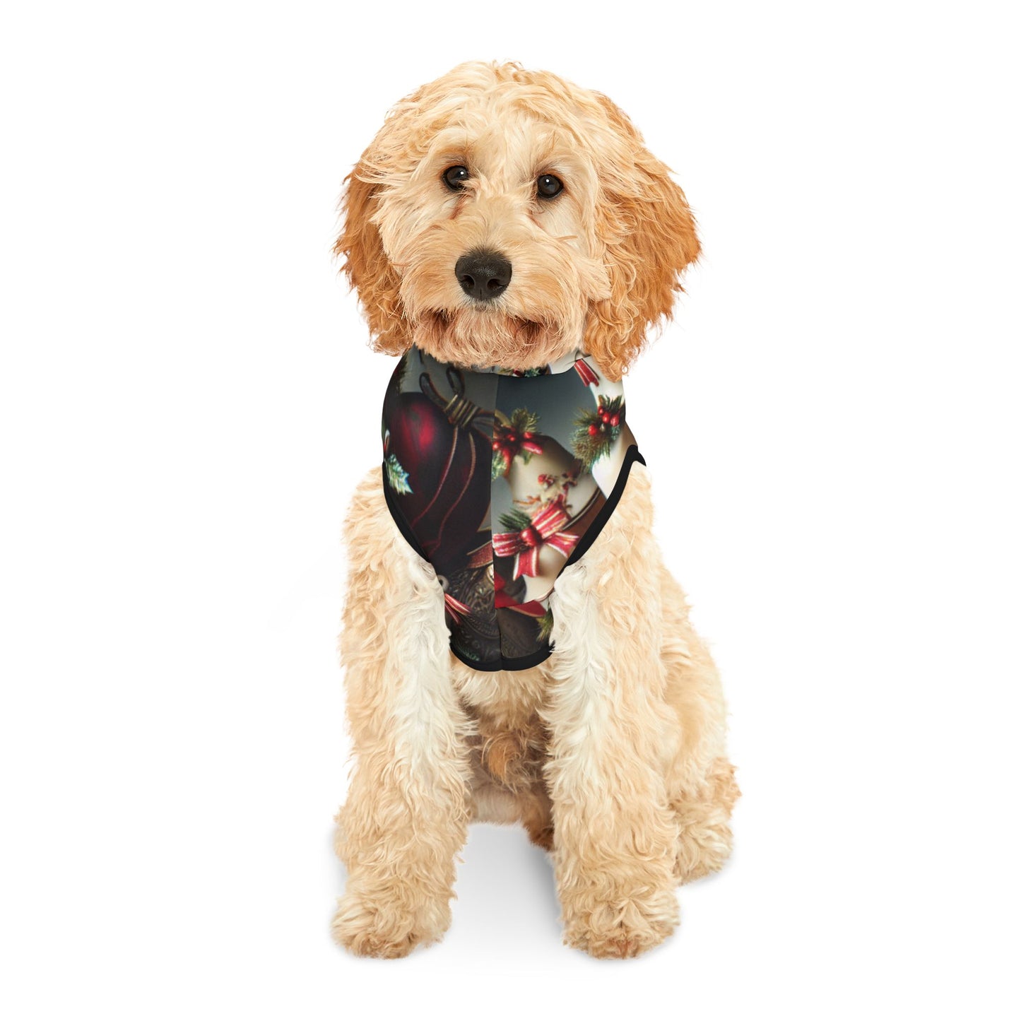 Pet Hoodie