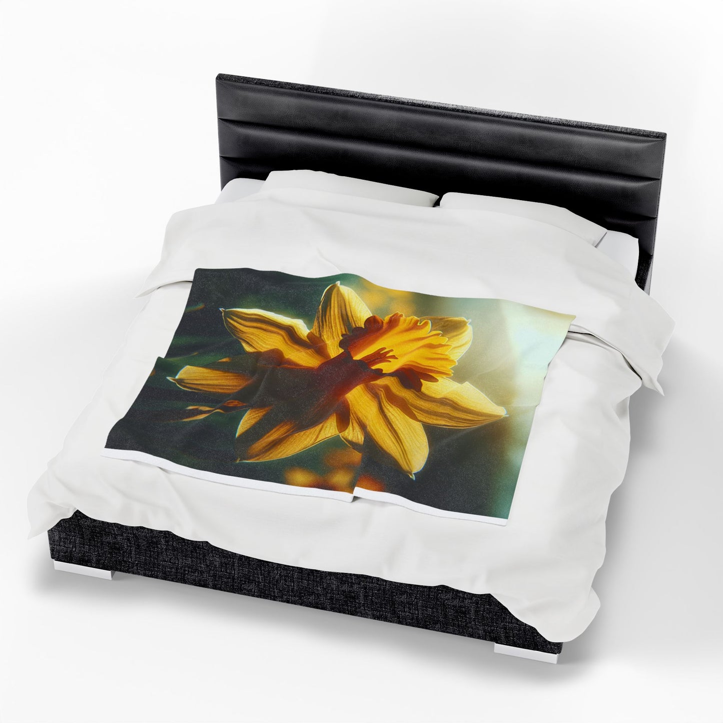 Velveteen Plush Blanket
