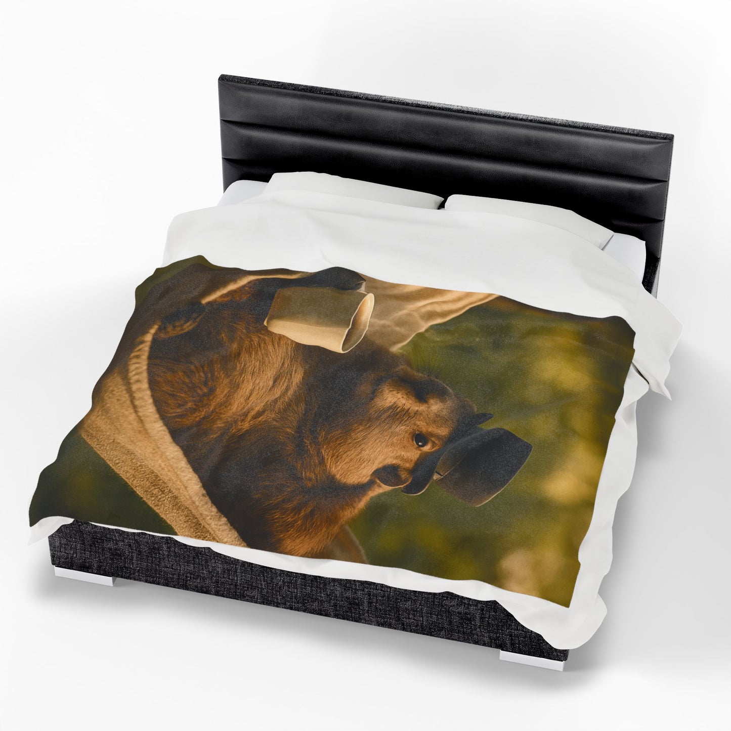 Velveteen Plush Blanket