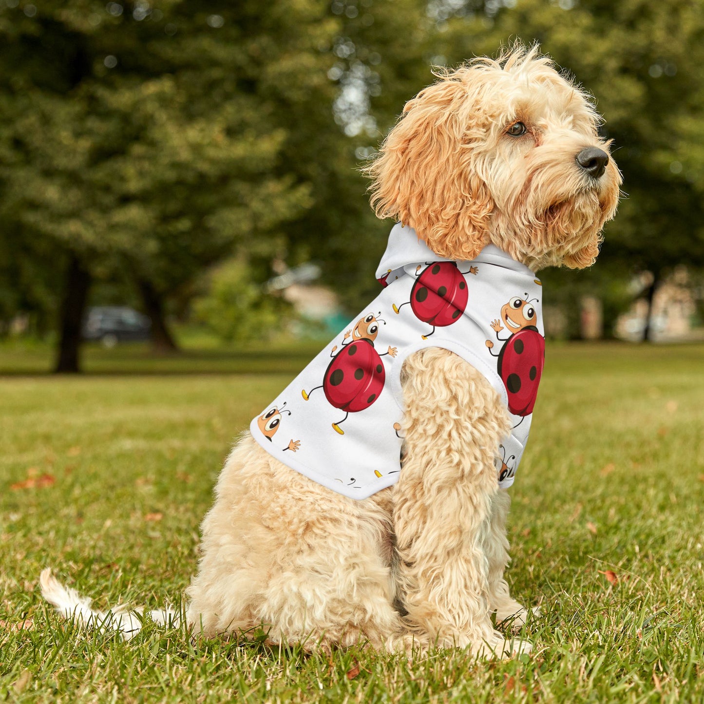 LADYBUG Pet Hoodie