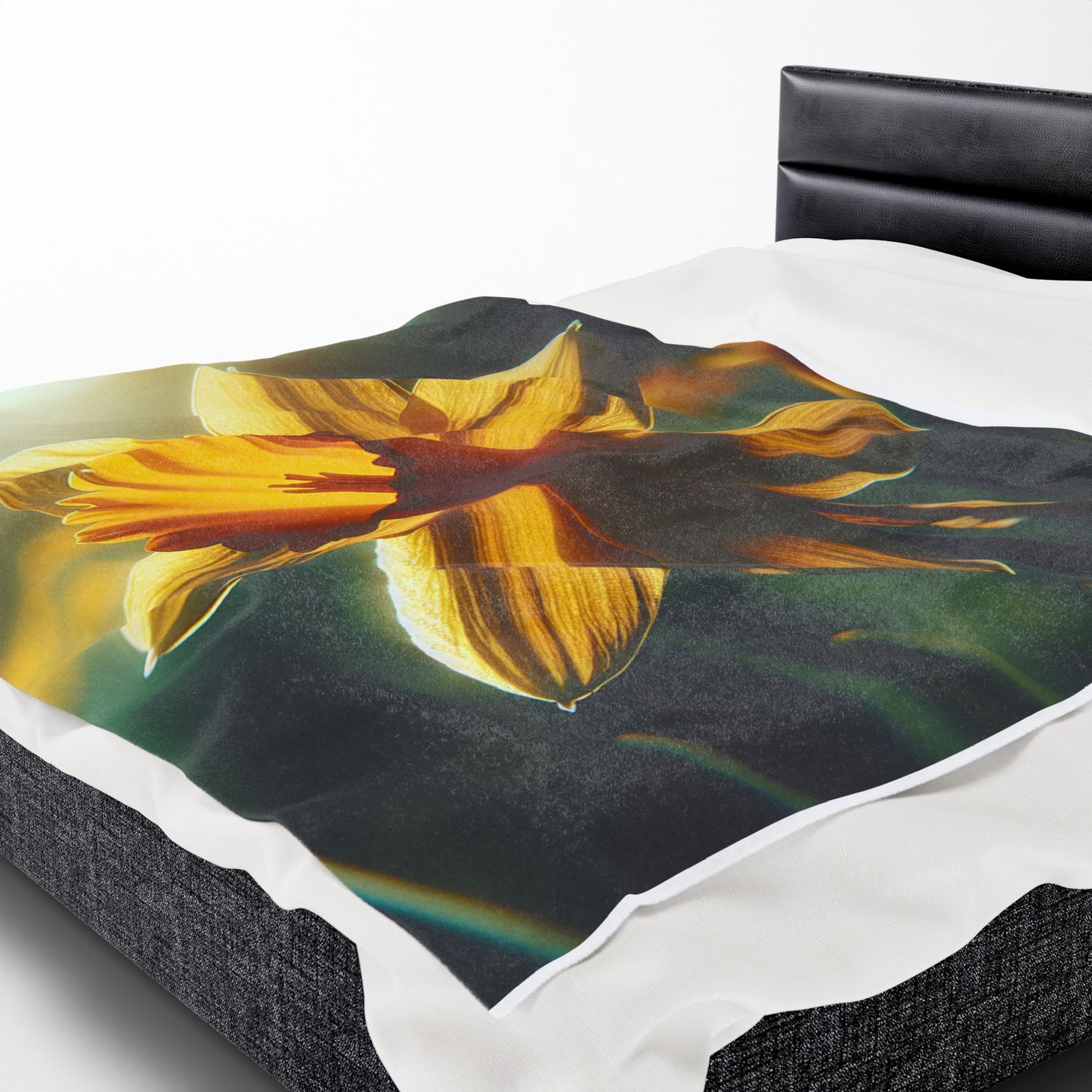 Velveteen Plush Blanket