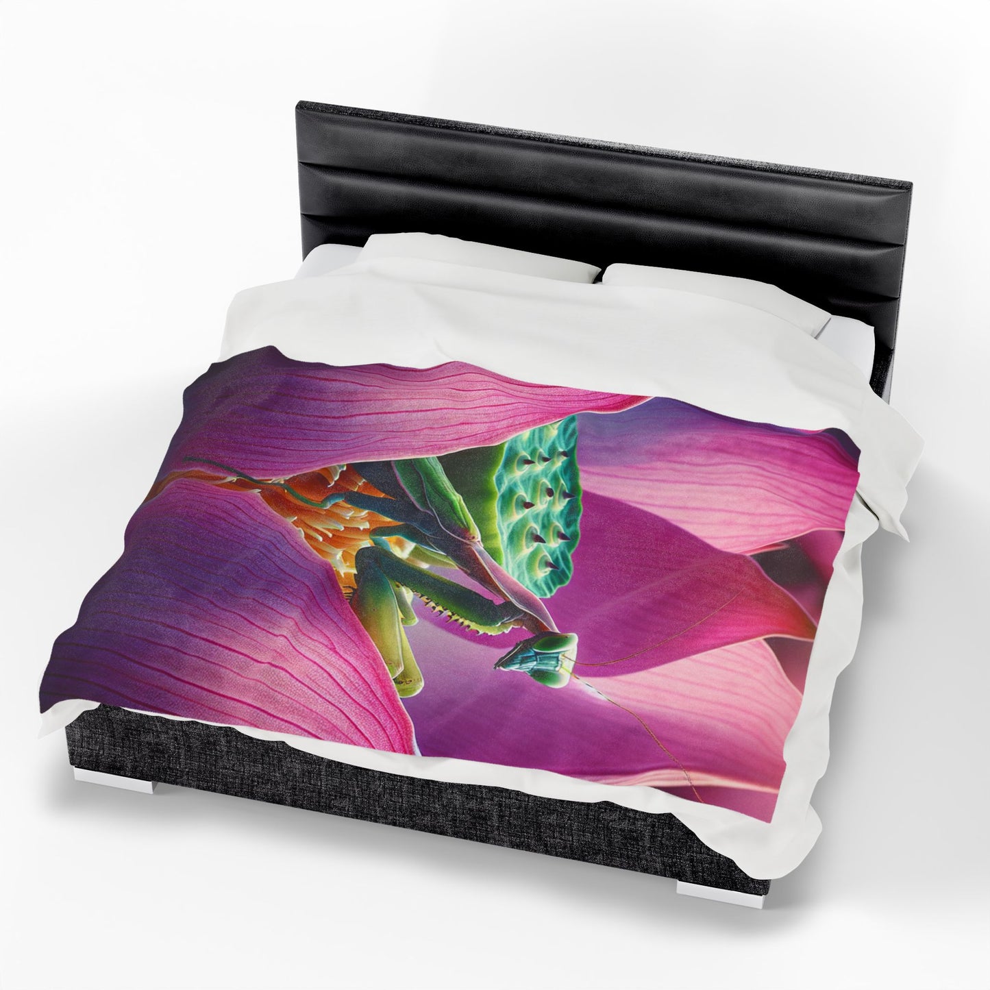 Velveteen Plush Blanket