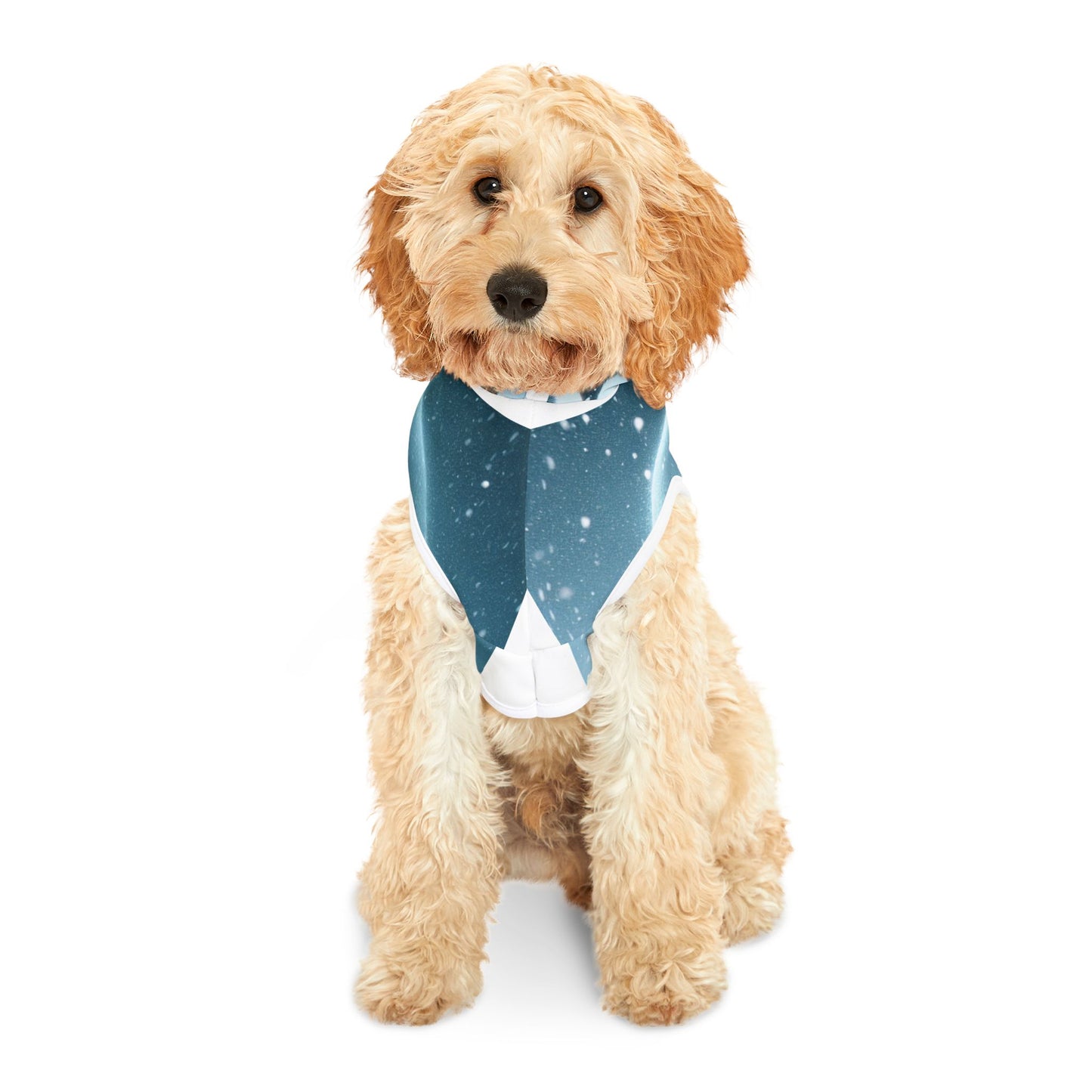 Pet Hoodie