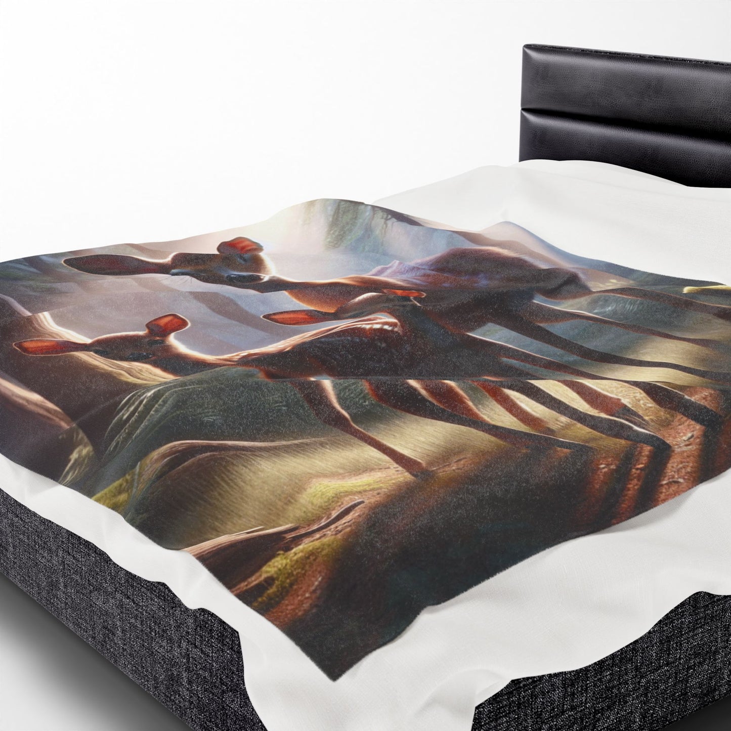 Velveteen Plush Blanket