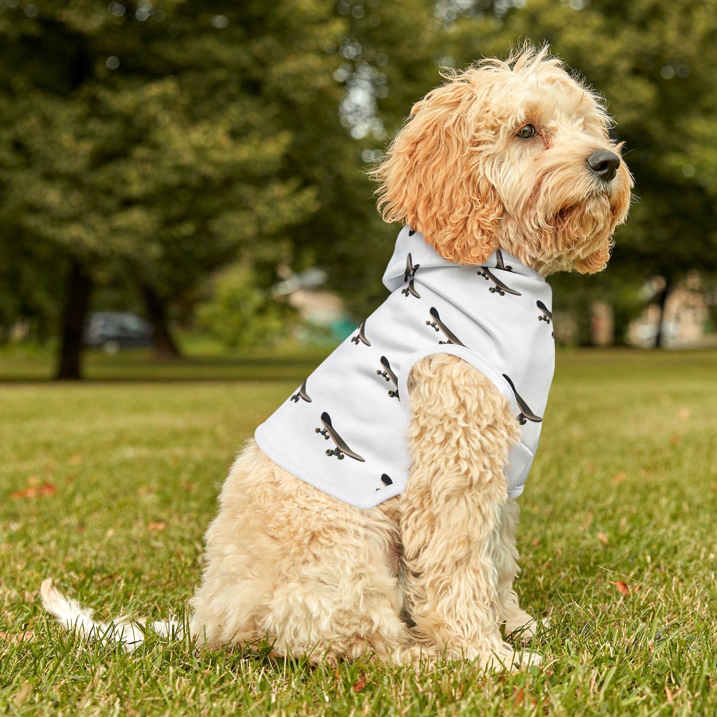 skateboard Pet Hoodie