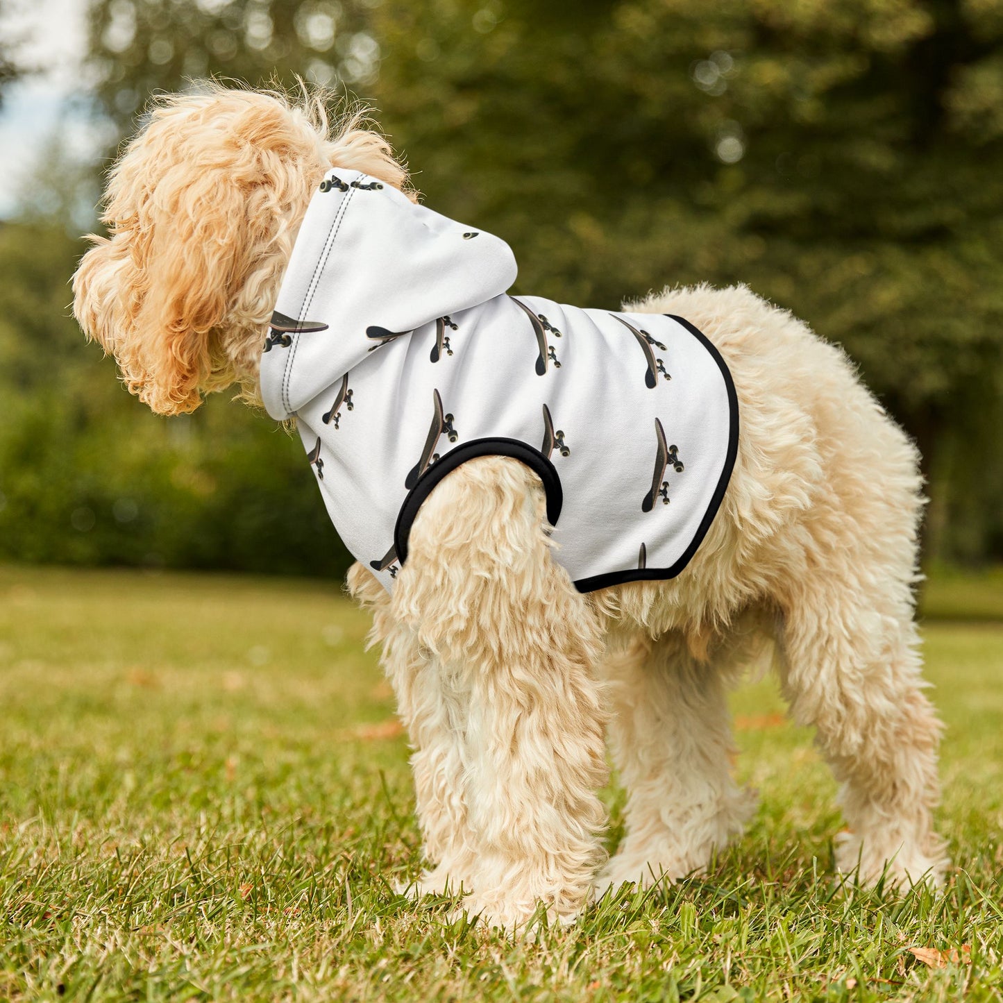 skateboard Pet Hoodie