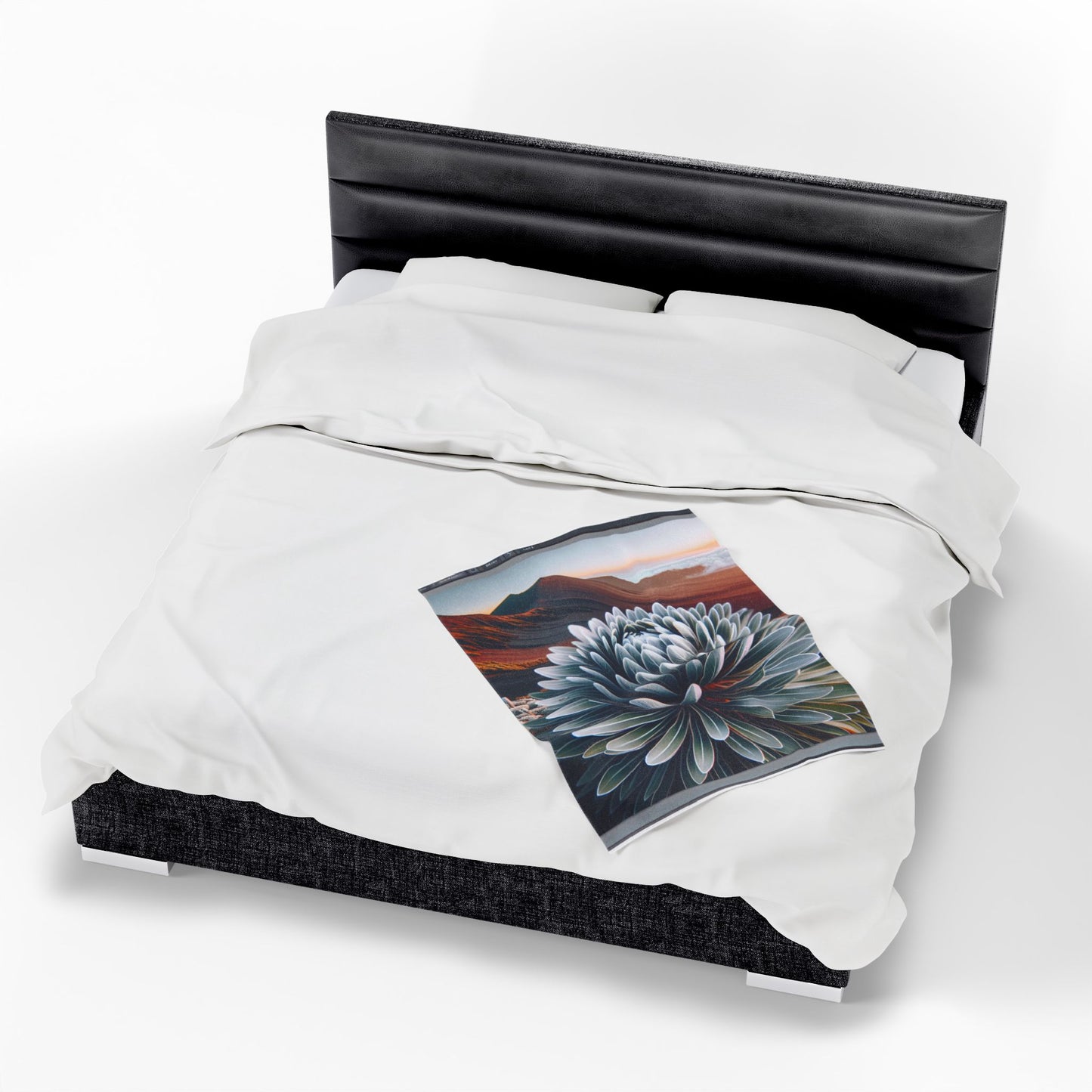 Velveteen Plush Blanket