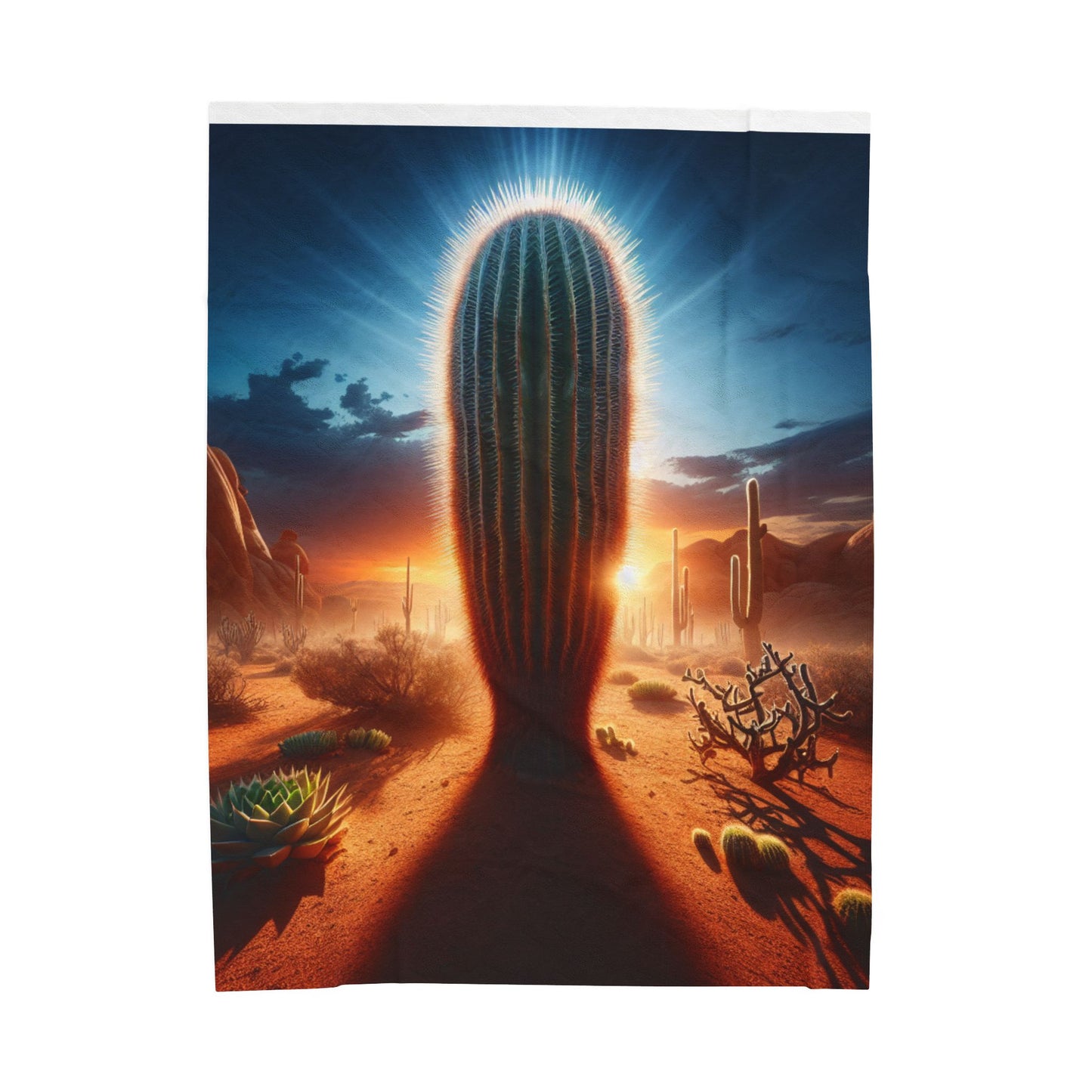 Velveteen Plush Blanket