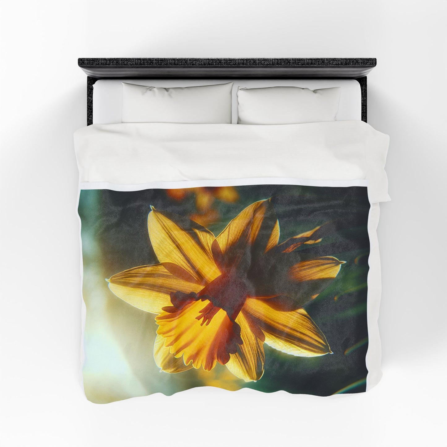 Velveteen Plush Blanket