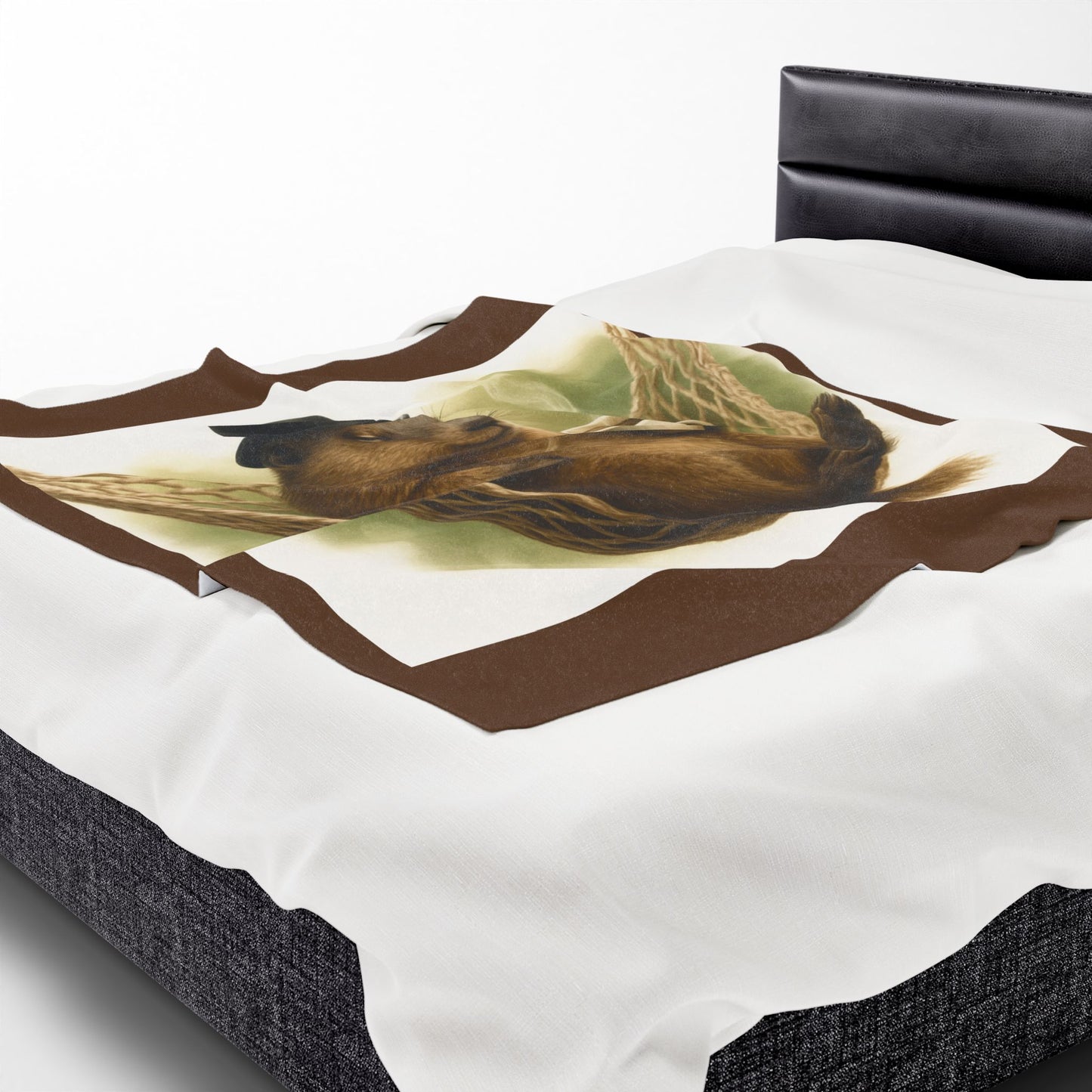 Copy of Velveteen Plush Blanket