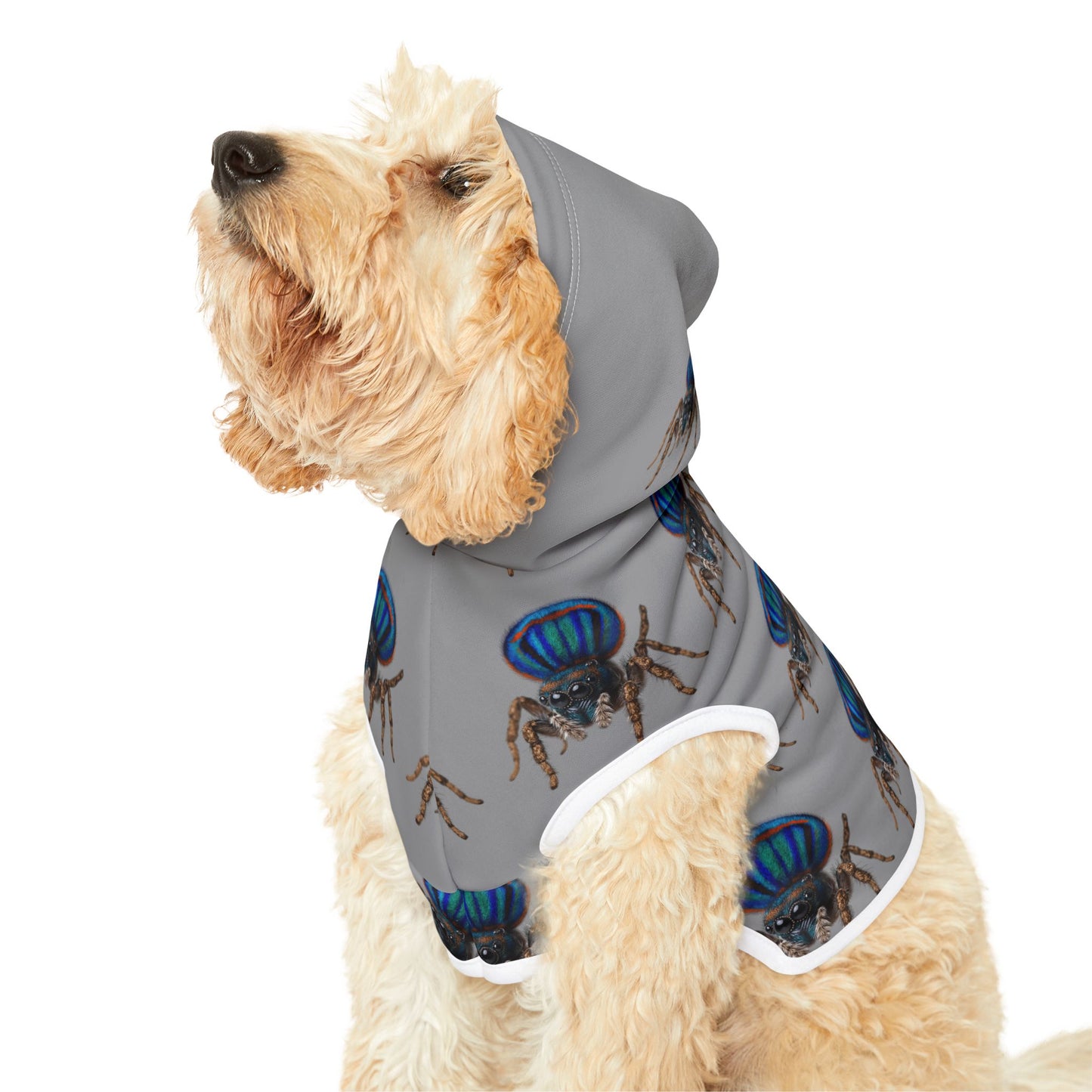 Pet Hoodie