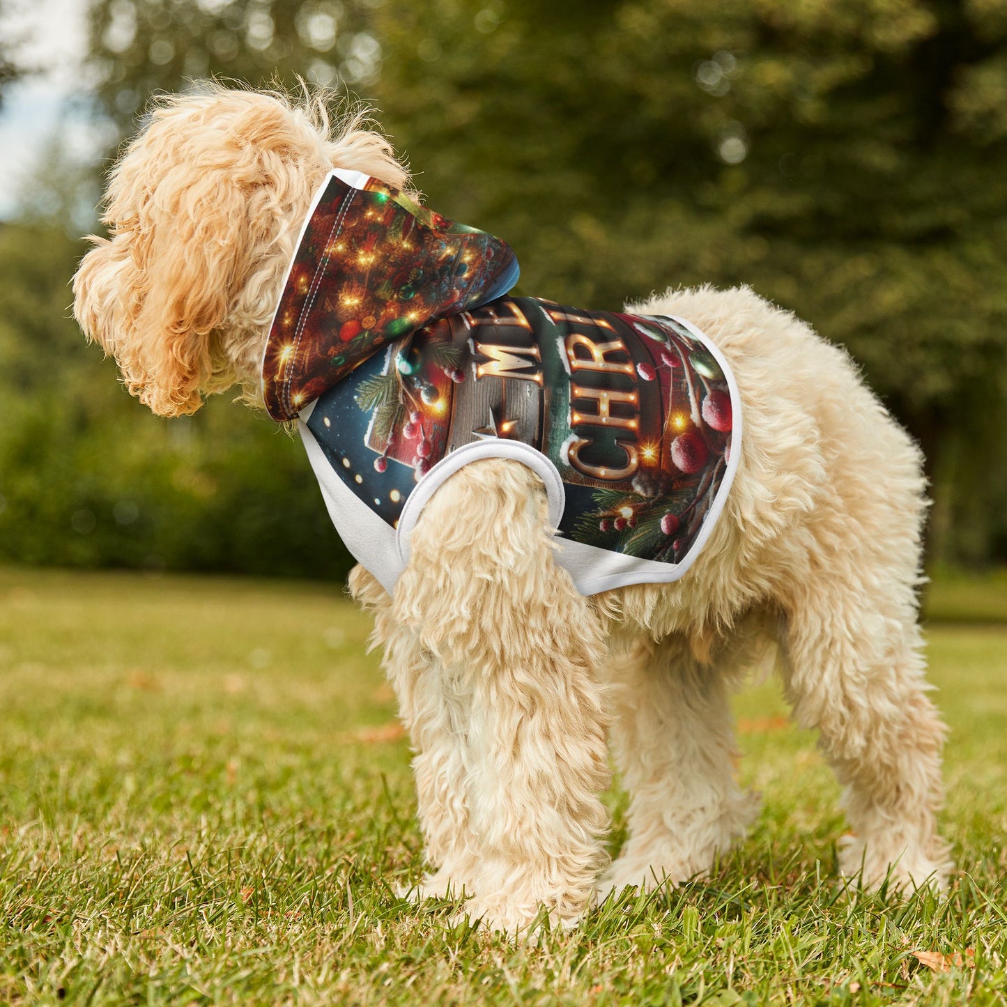 Pet Hoodie