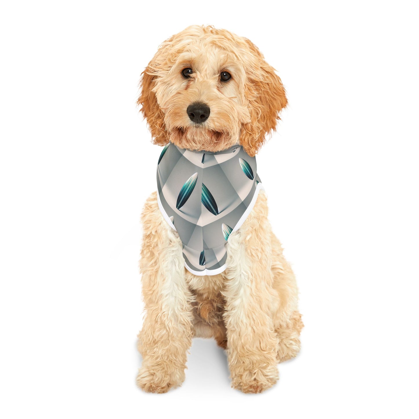 Pet Hoodie