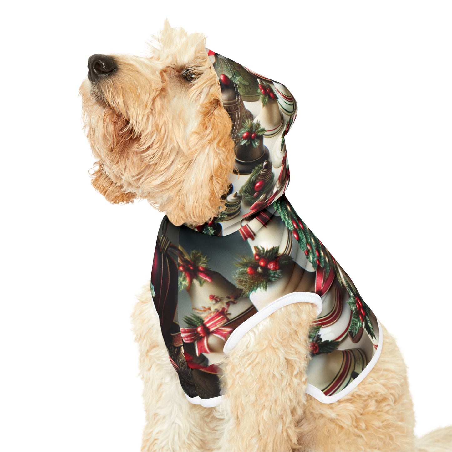 Pet Hoodie
