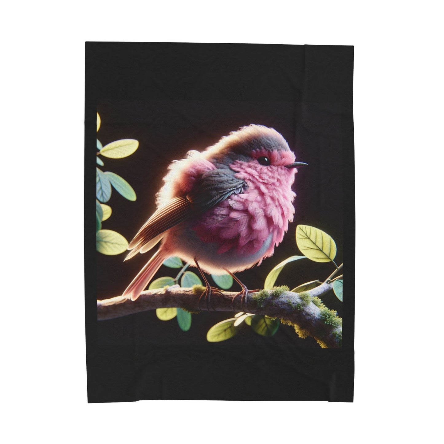 Velveteen Plush Blanket