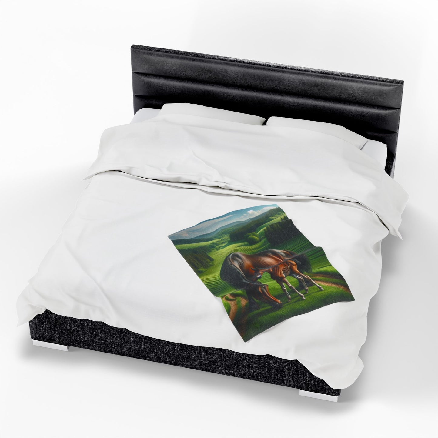 Velveteen Plush Blanket