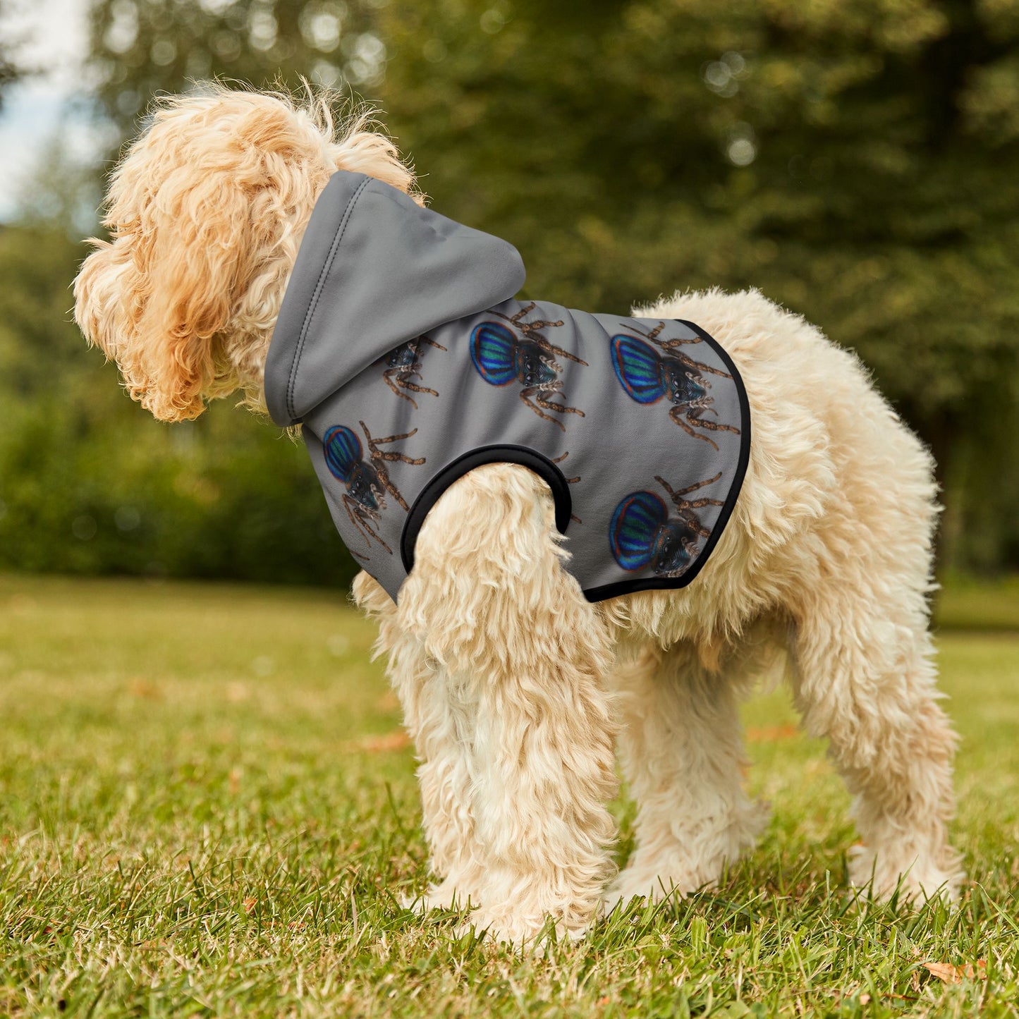 Pet Hoodie