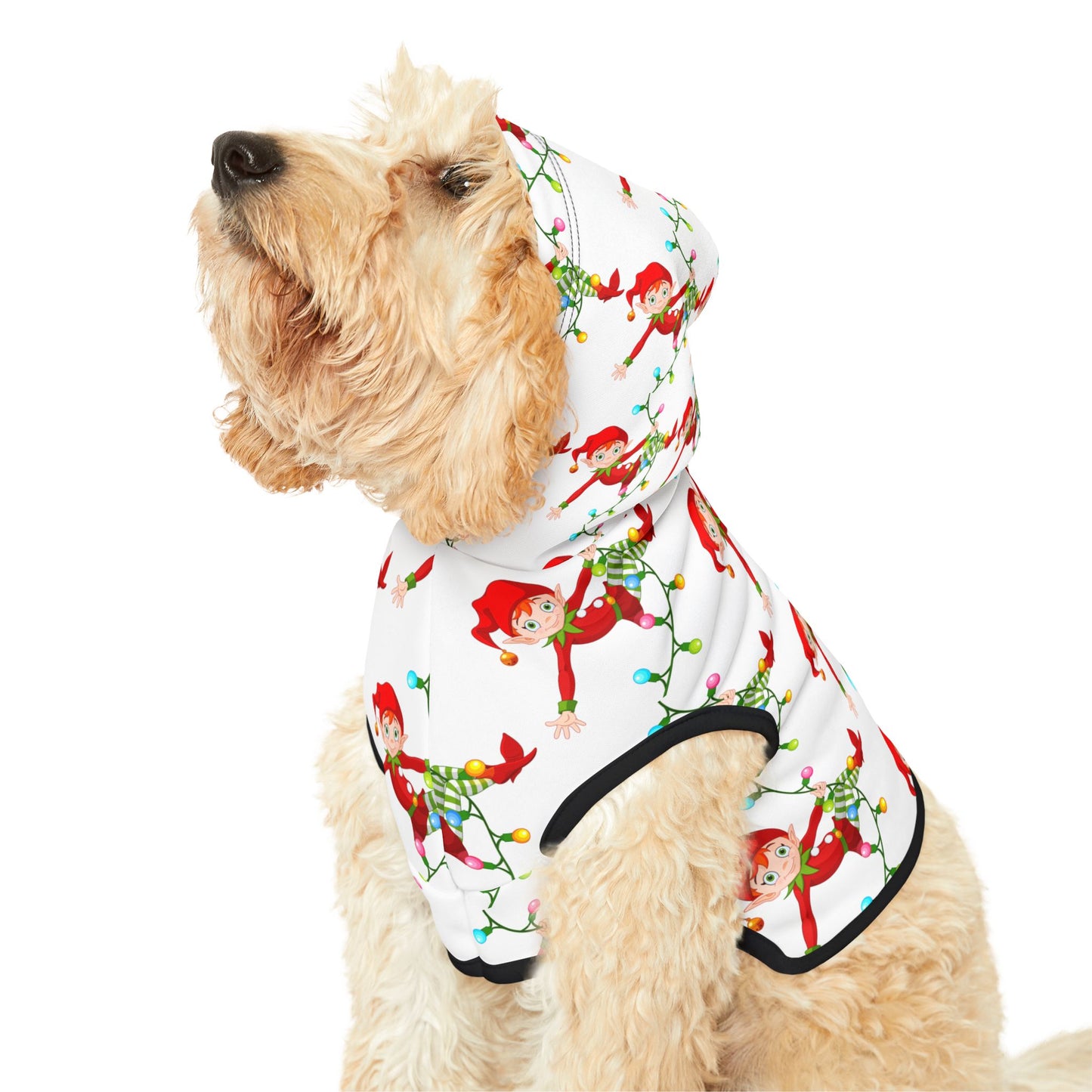 Pet Hoodie