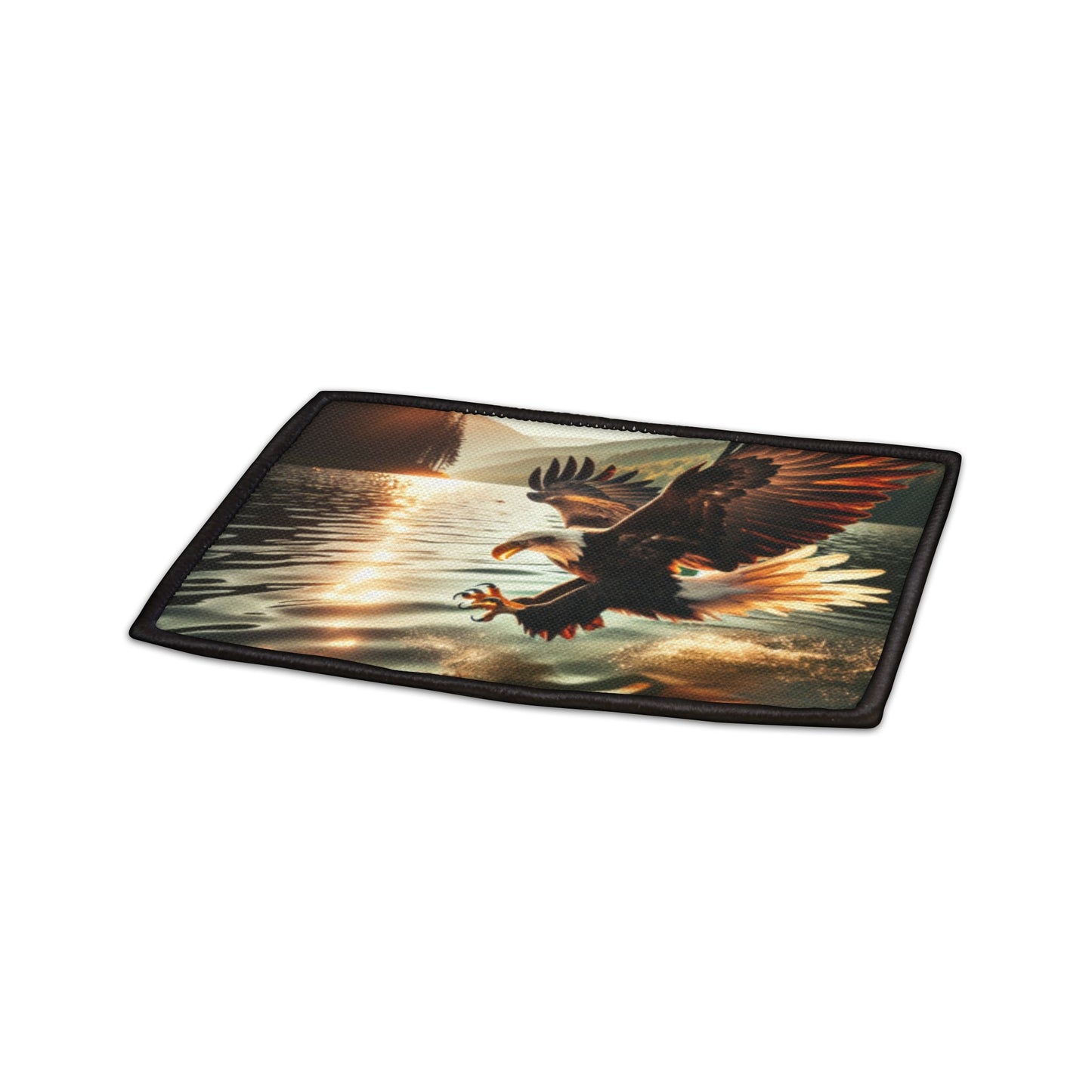 Iron-On Patches EAGLES