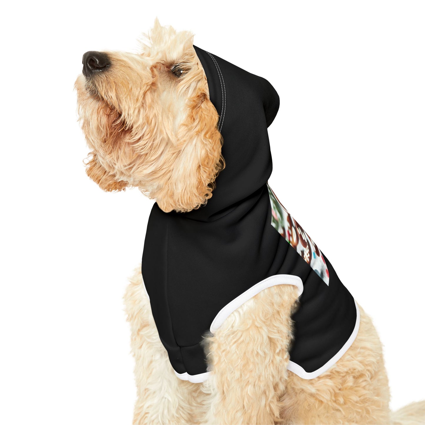 Pet Hoodie