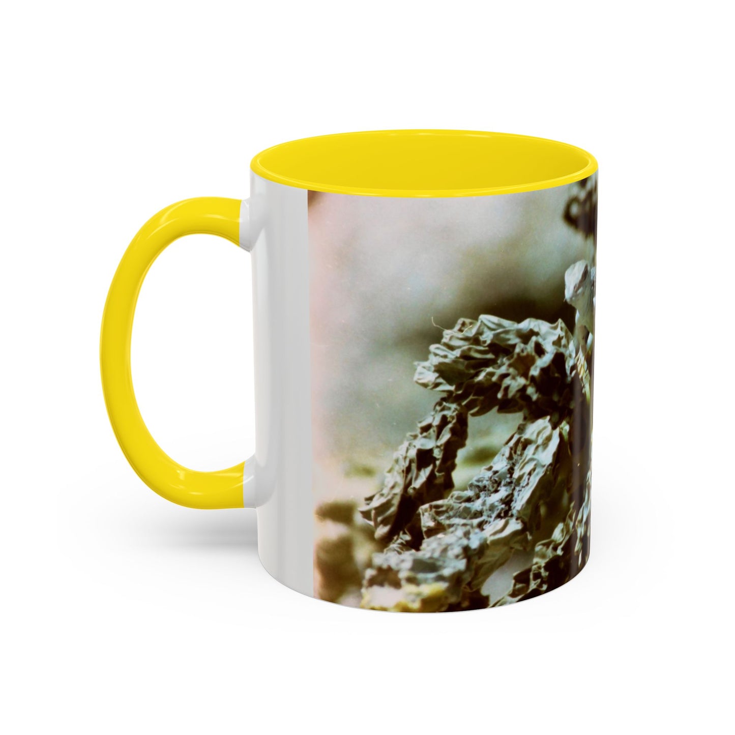 Accent Coffee Mug, 11oz