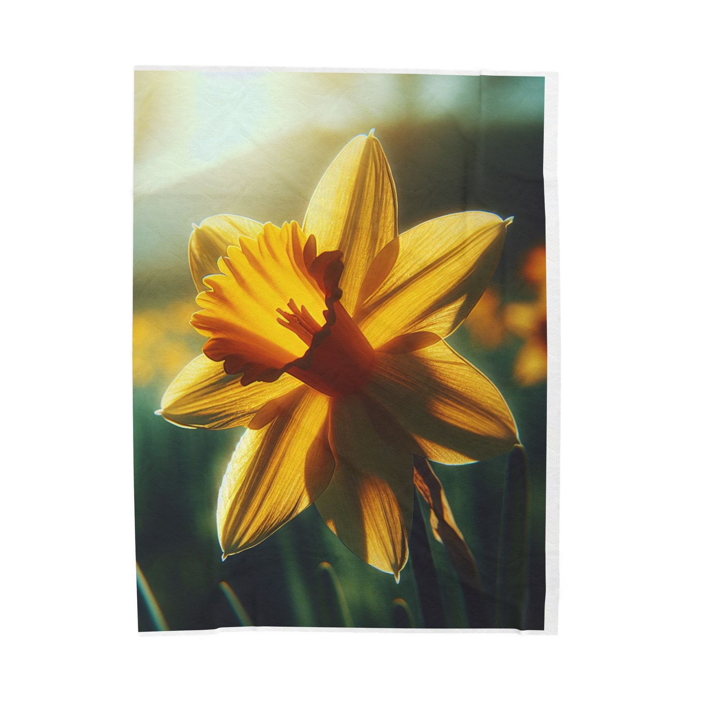 Velveteen Plush Blanket
