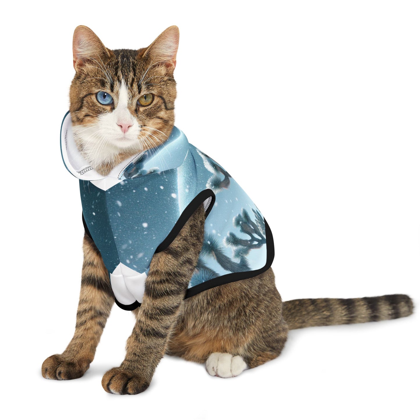 Pet Hoodie