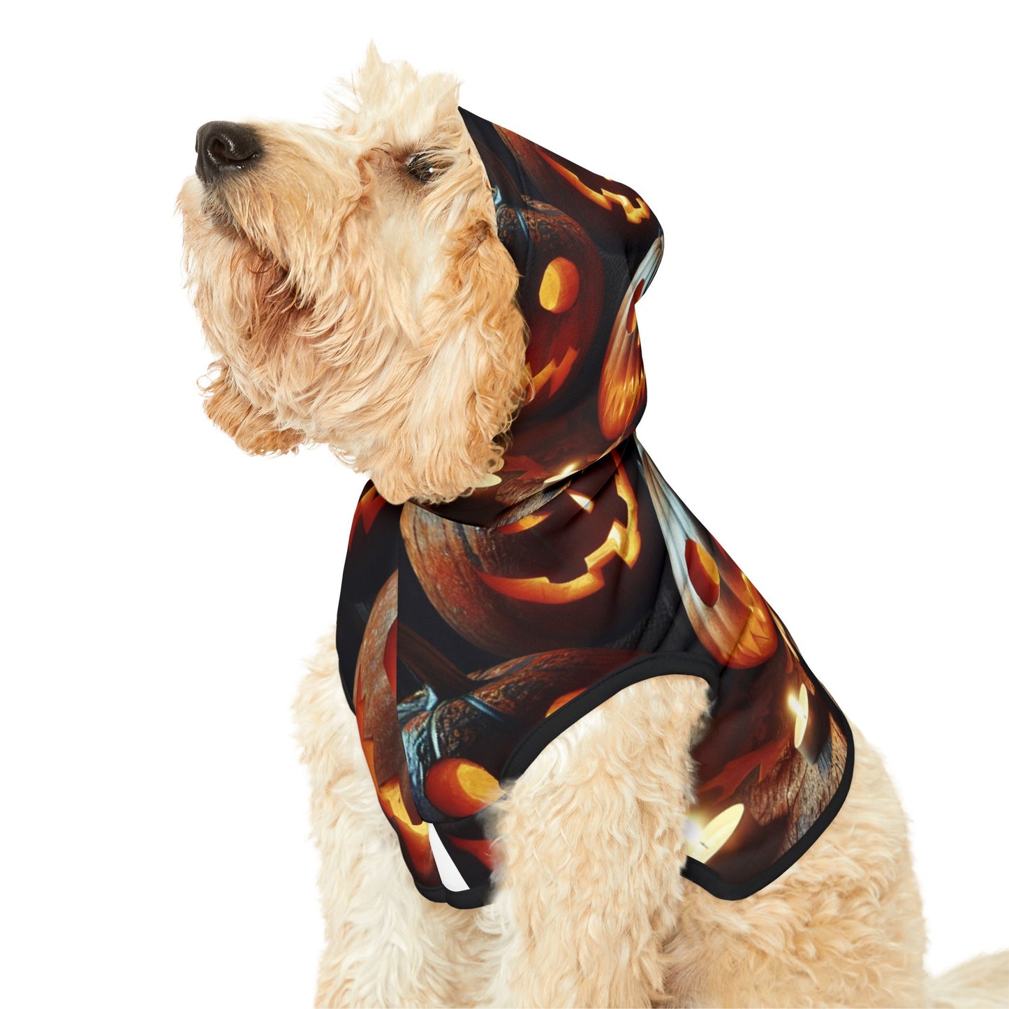 Pet Hoodie