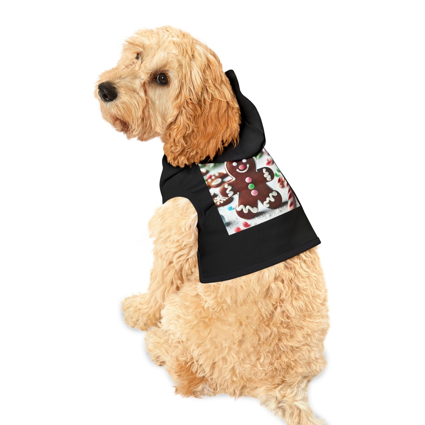 Pet Hoodie