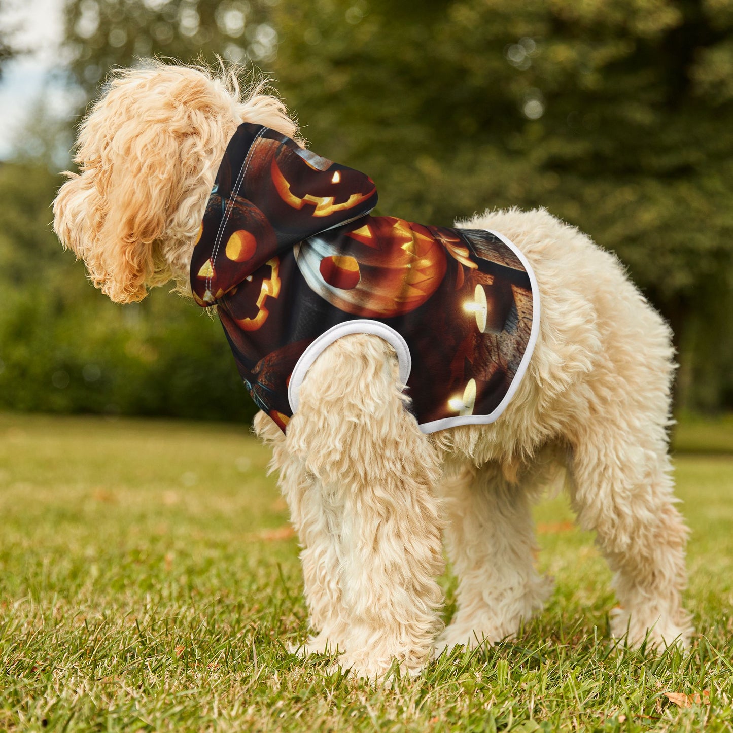 Pet Hoodie
